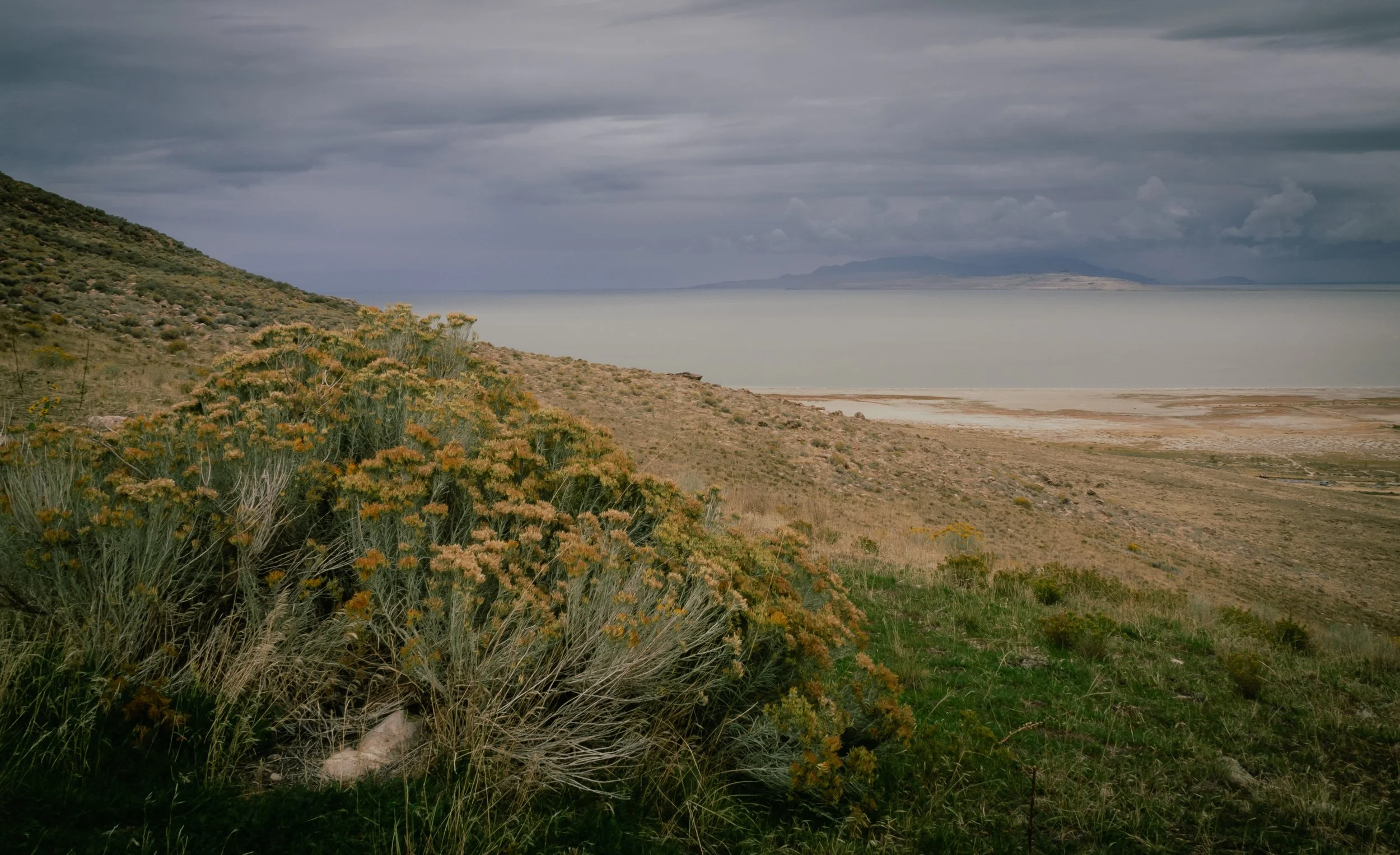 PA030244.jpg