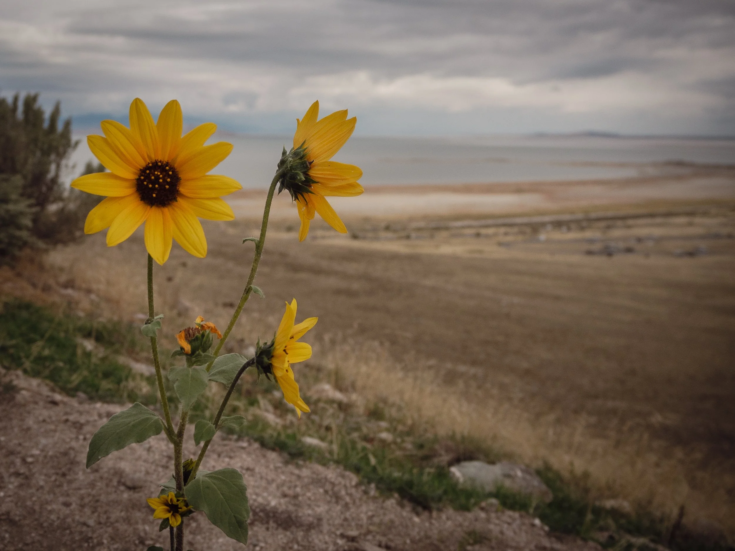 PA030217.jpg