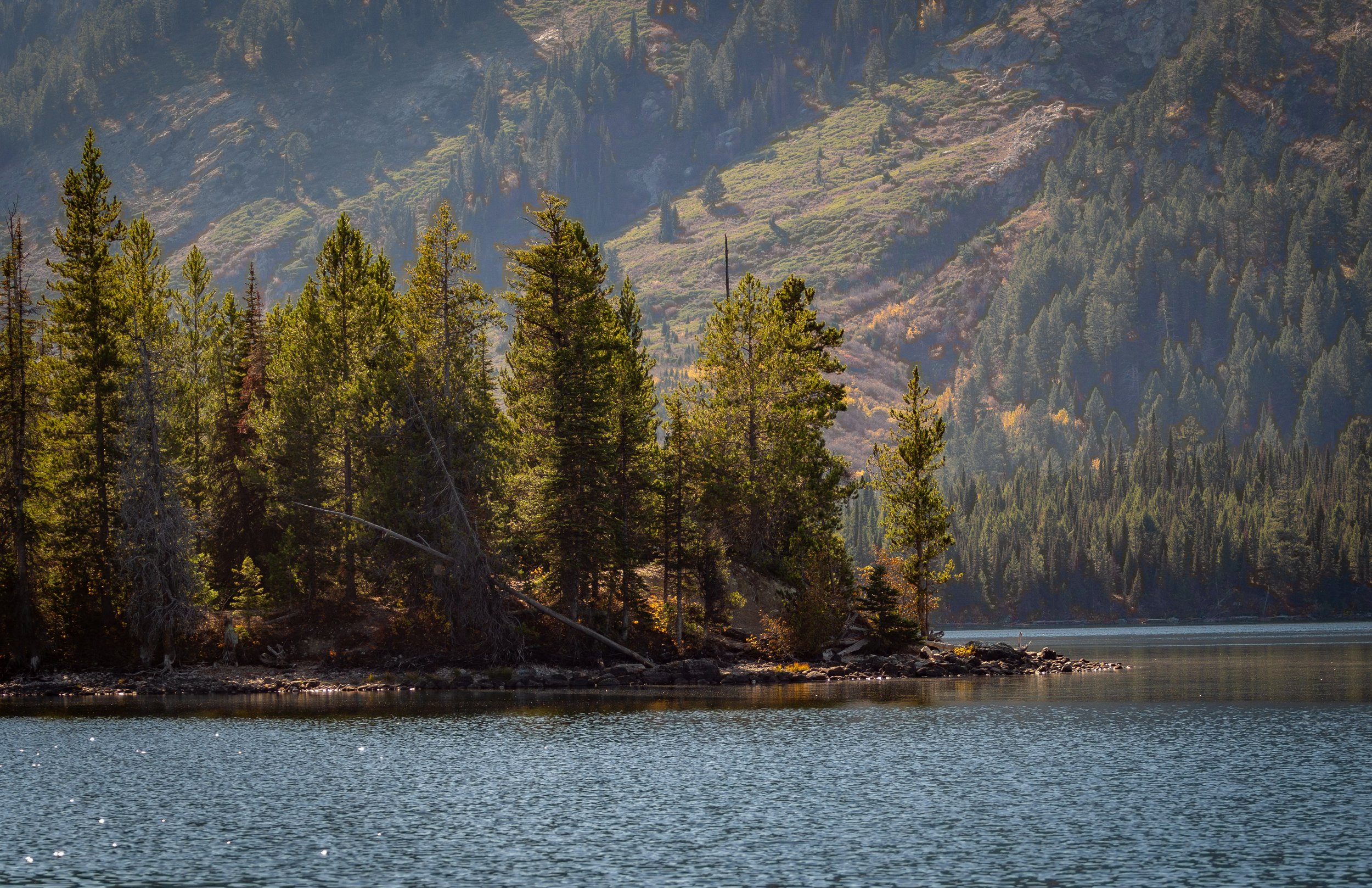 PA090426.jpg