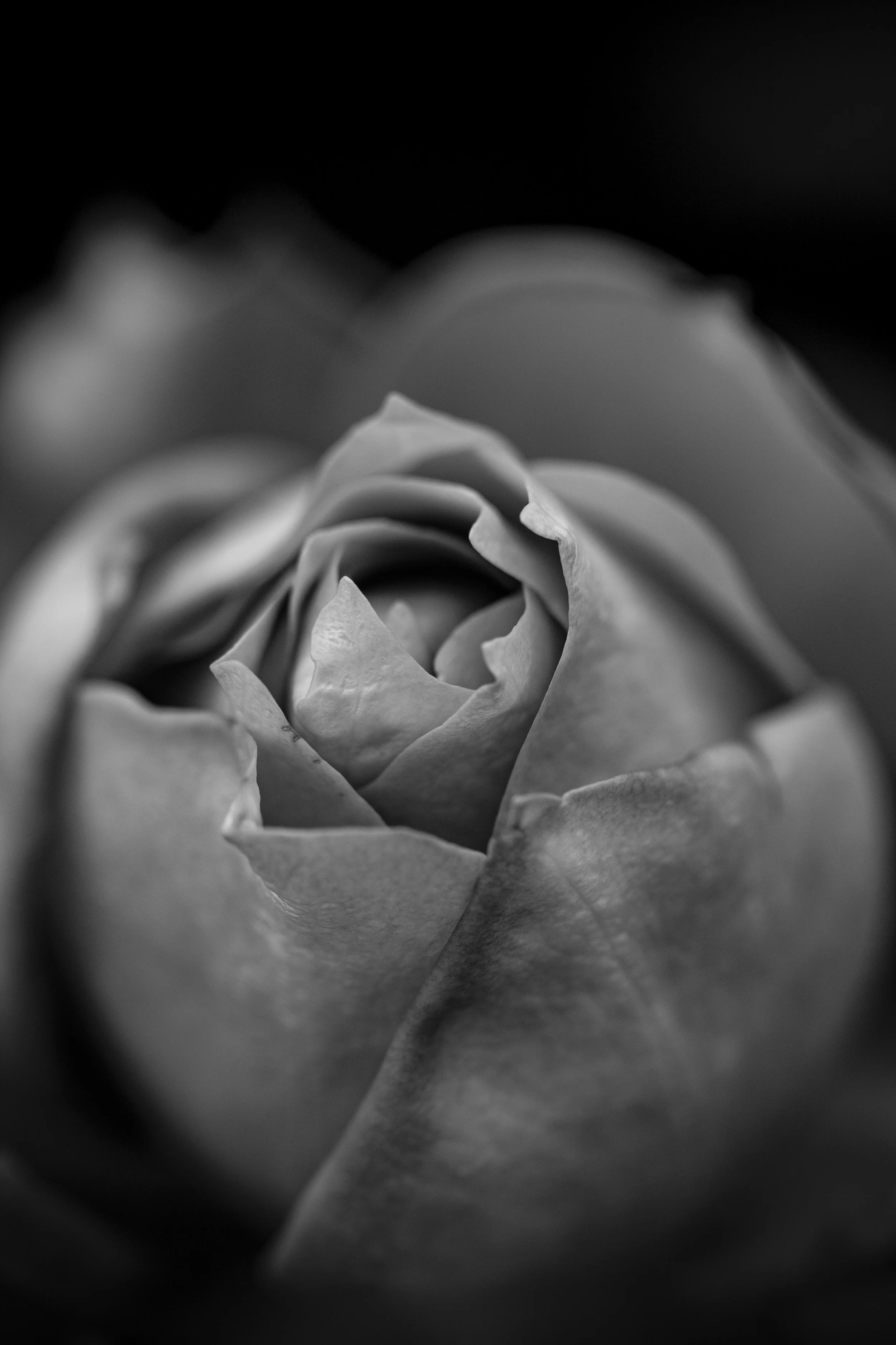 IMG_1872 copy.jpg