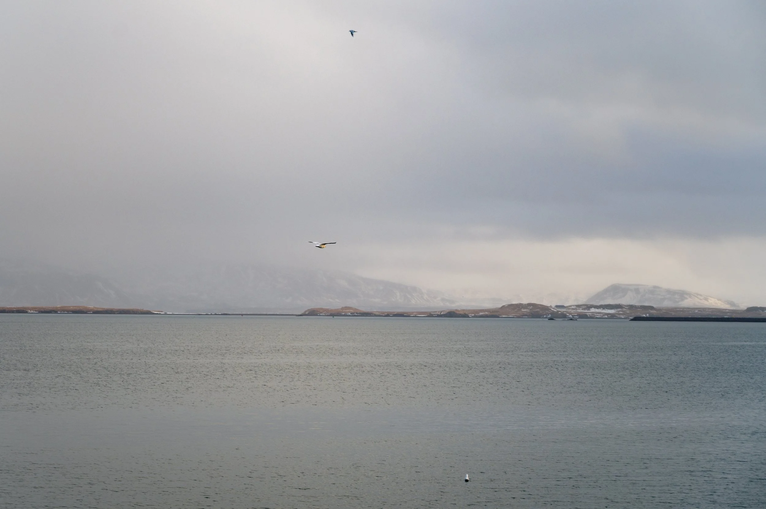 xReykjavik24_052.jpg