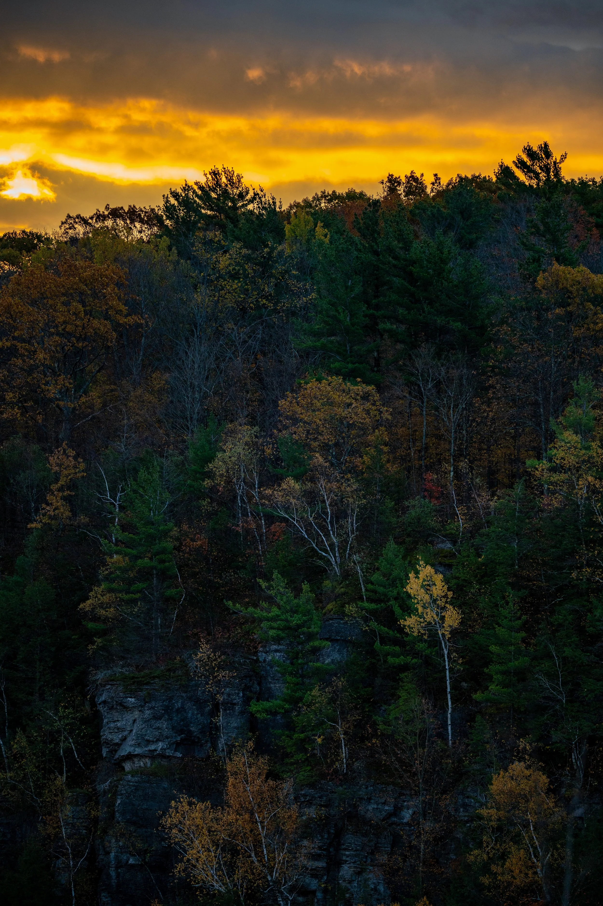 xThacher25Raw_094 copy.jpg