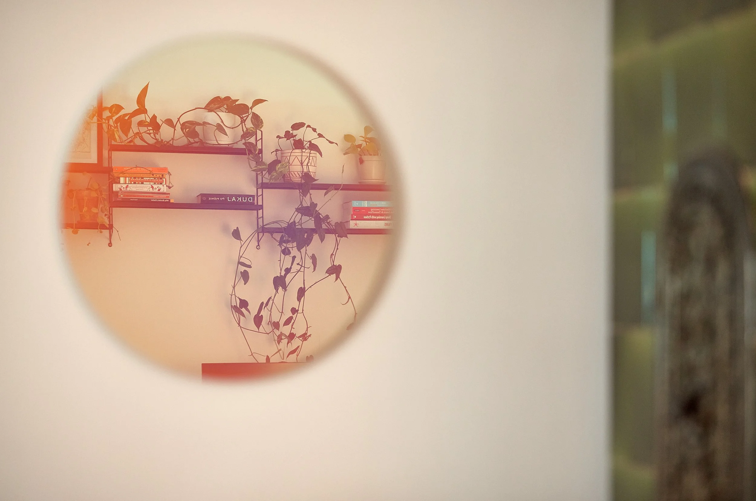 FOT. KSZTALTY.COM - NORBERT BANASZYK IMG_0515w.jpg