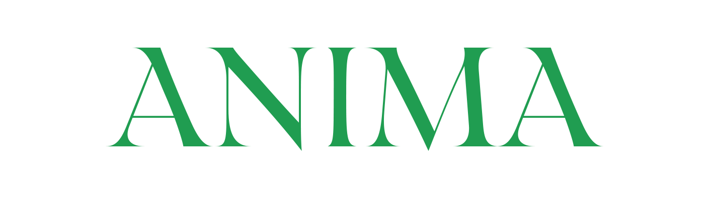 ANIMA STUDIO