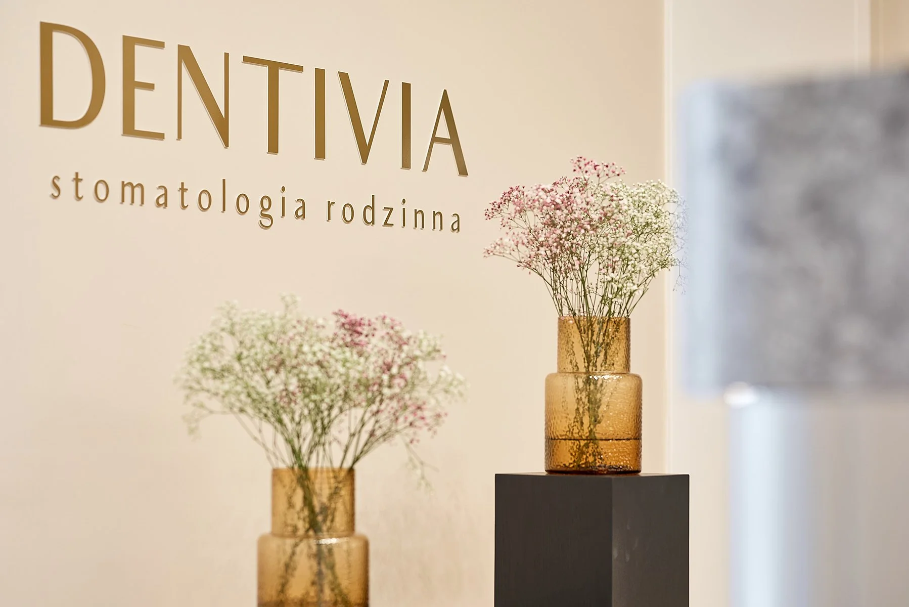 12 - Dentivia Strzałkowo.jpg