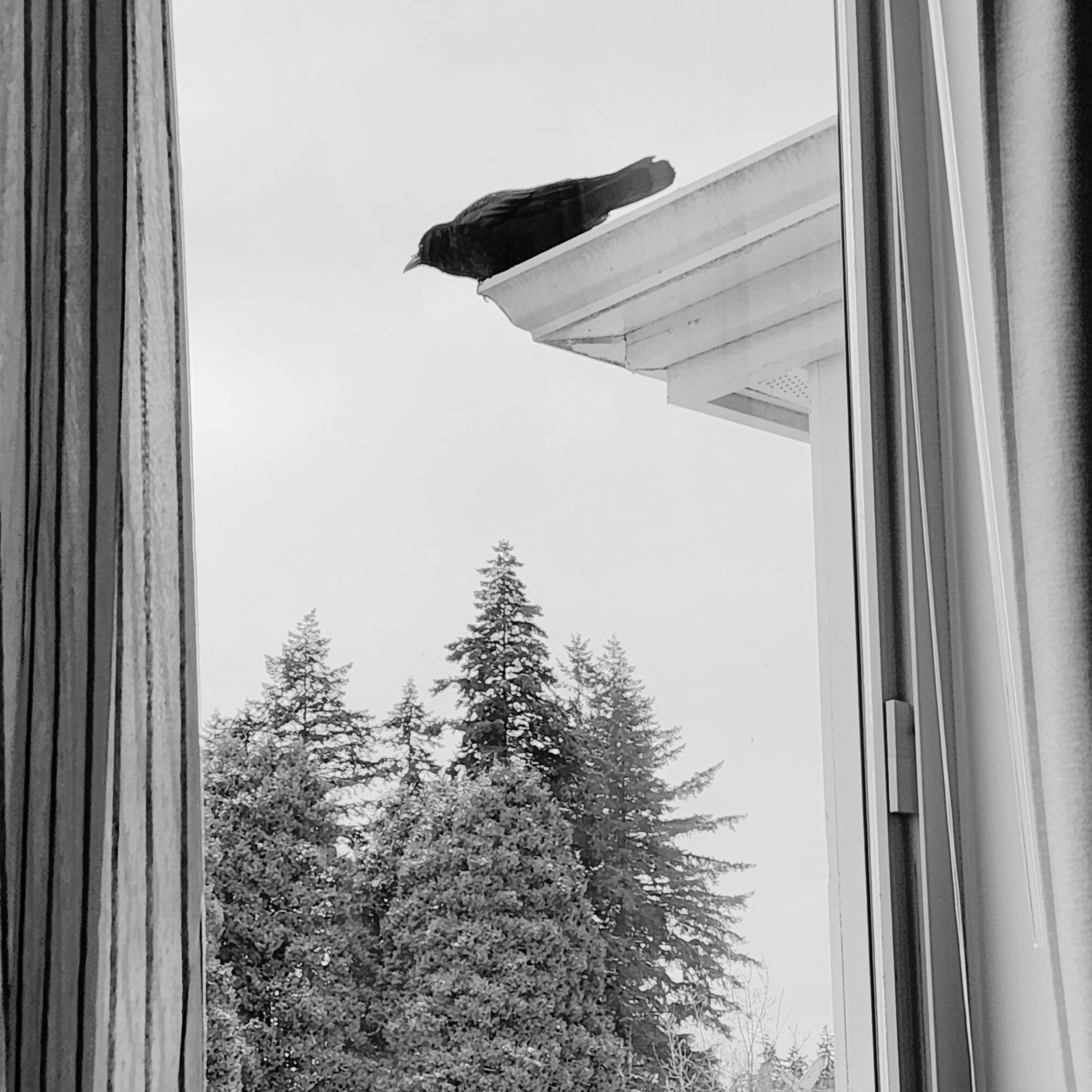 Photo signée Gaspard Amée, tirée du recueil Sasamat, publié en 2024 aux Éditions du Blé