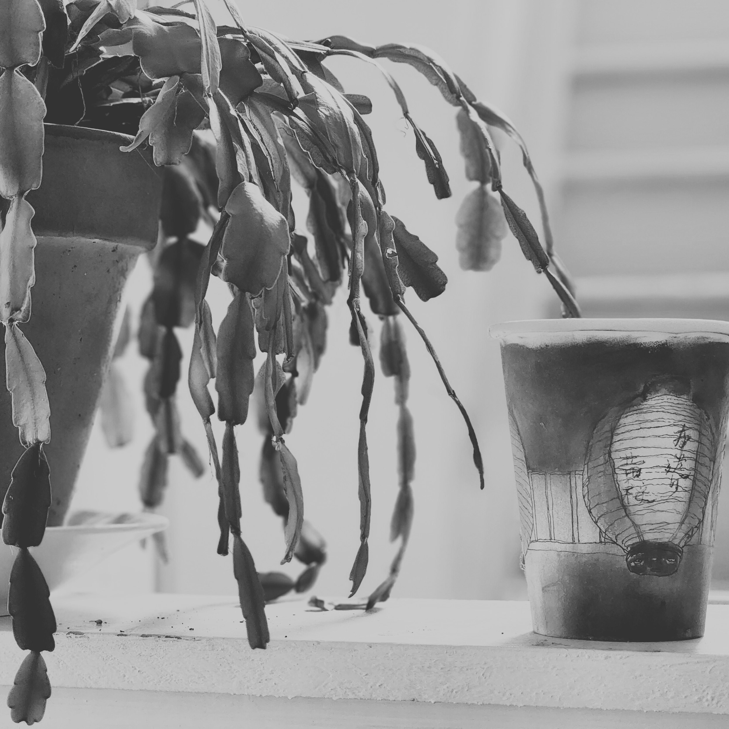 Photo signée Gaspard Amée, tirée du recueil Sasamat, publié en 2024 aux Éditions du Blé