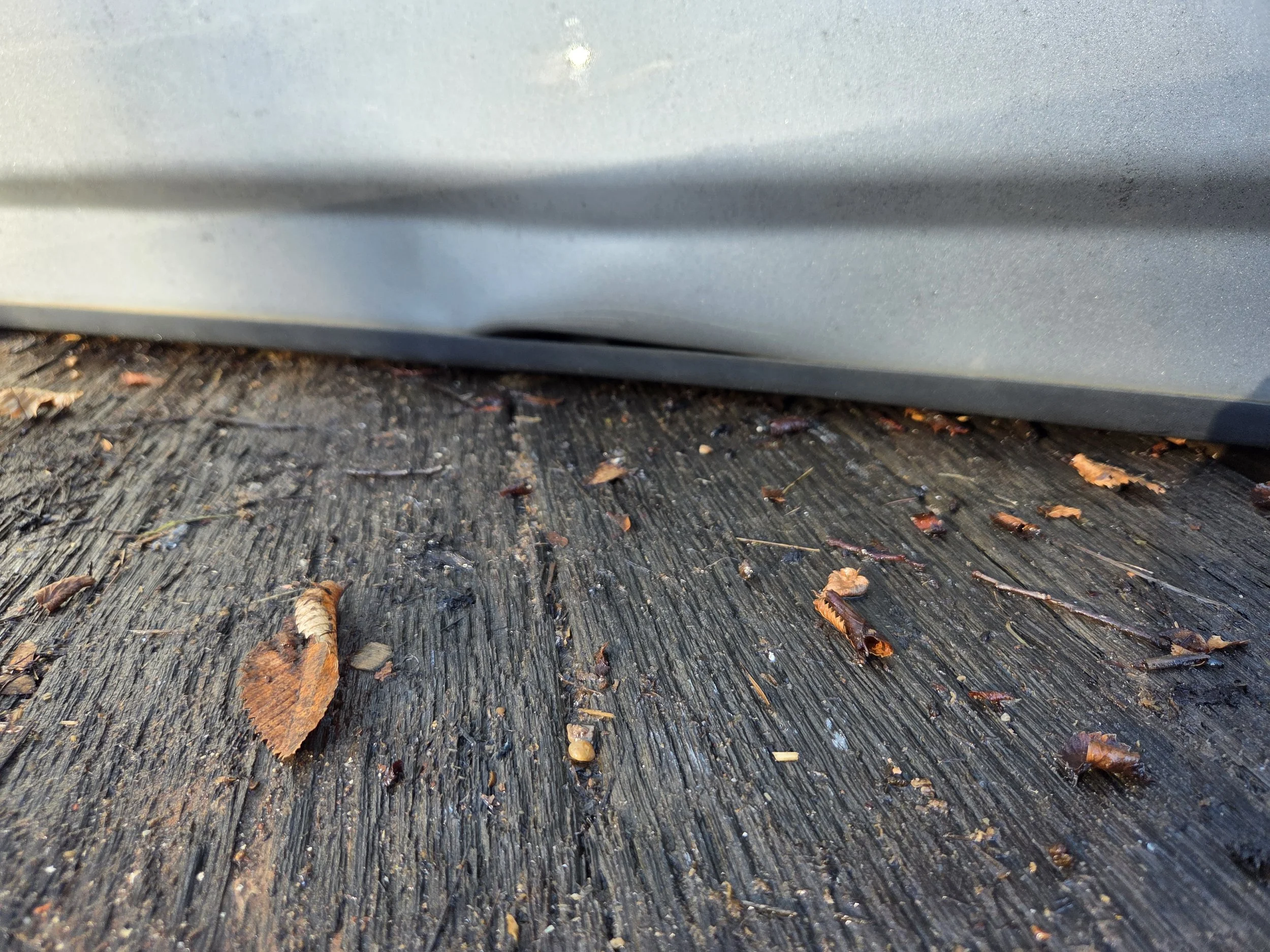 20251011_171045 (1).jpg