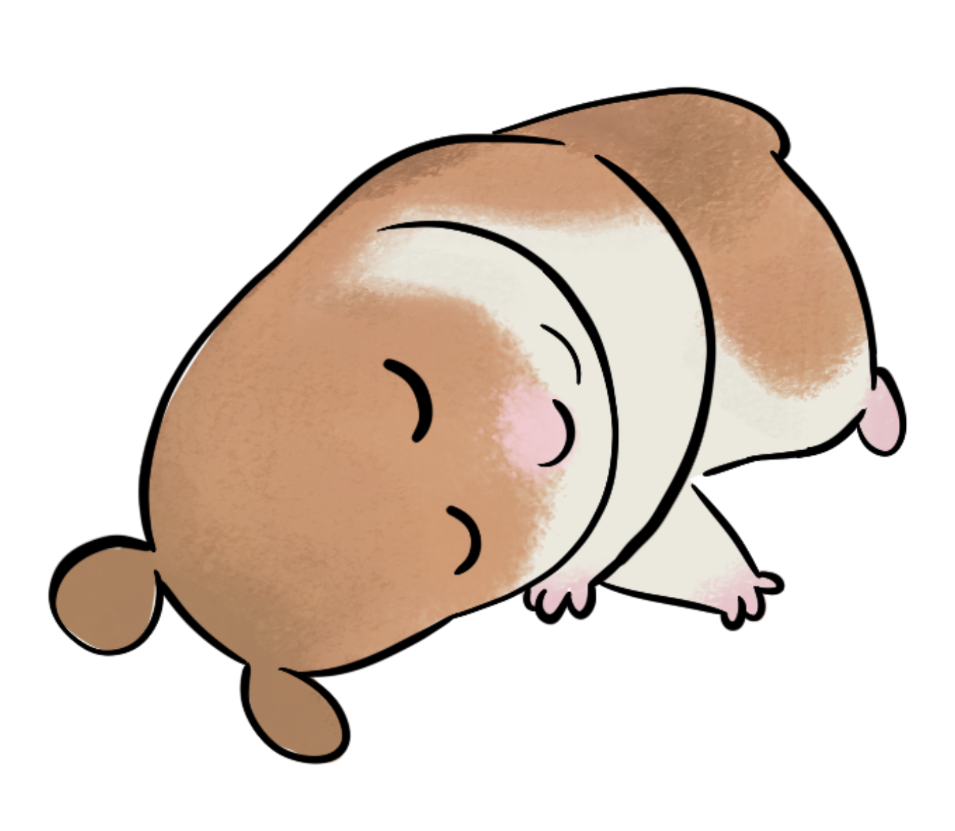 sleep.PNG