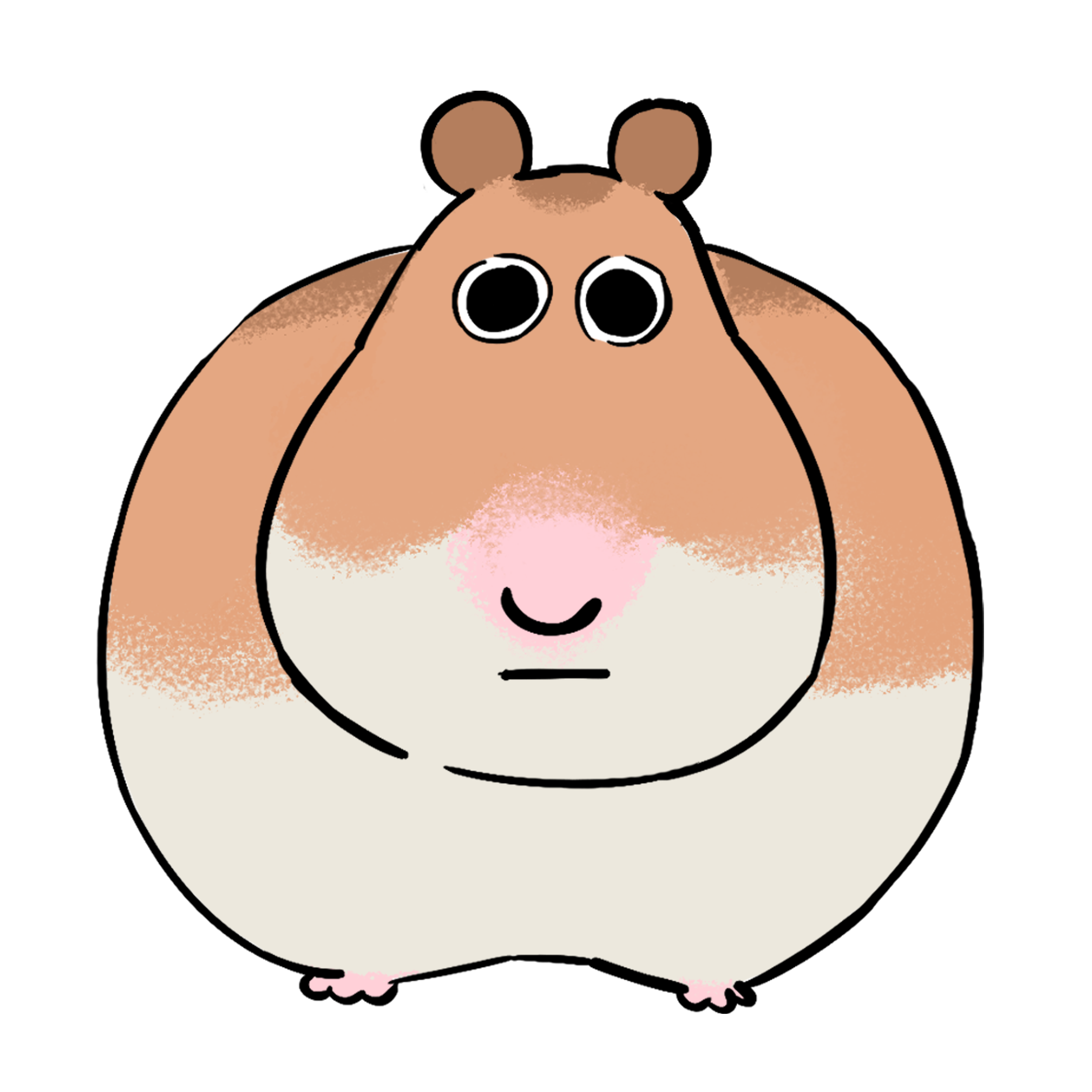 stare.PNG