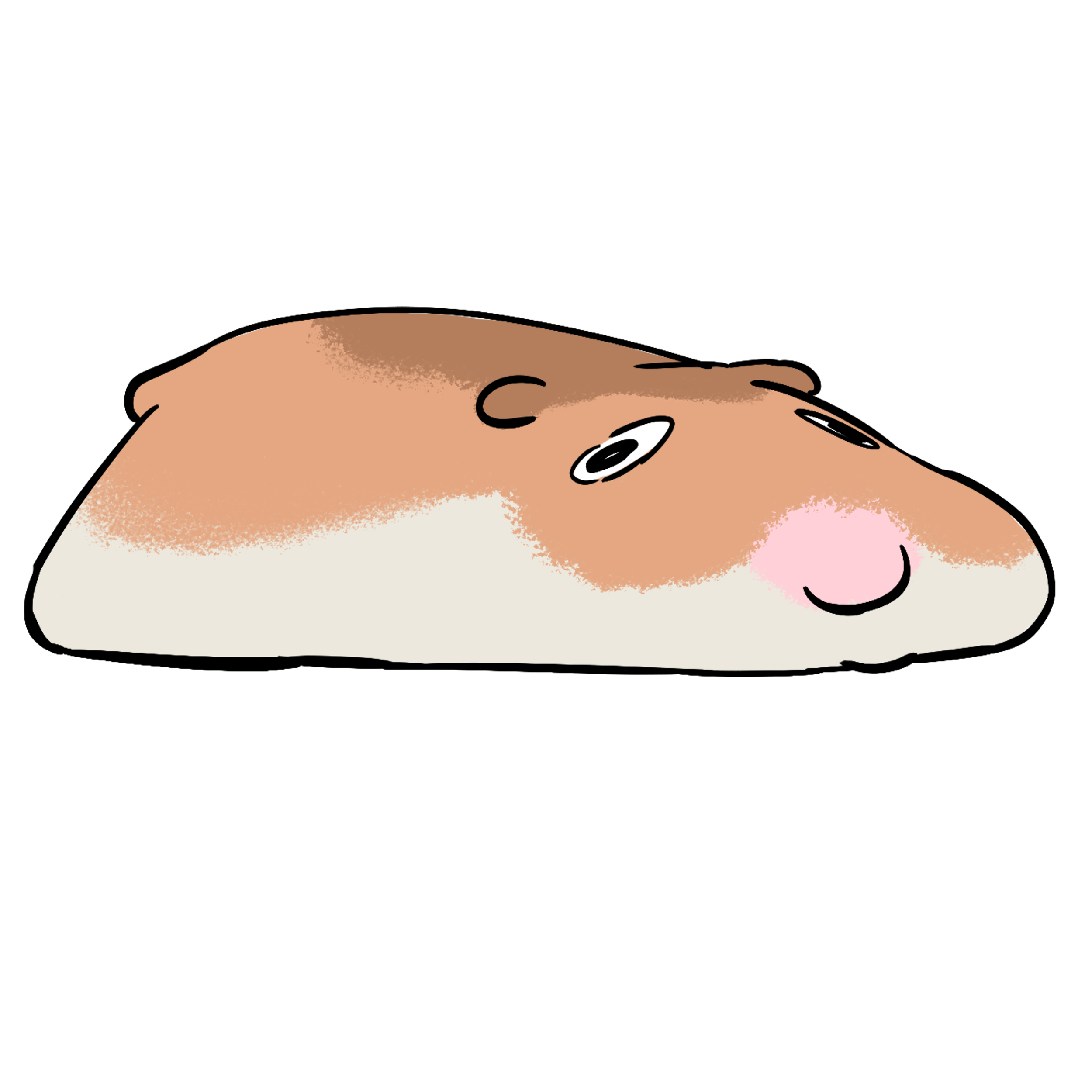 worm.PNG