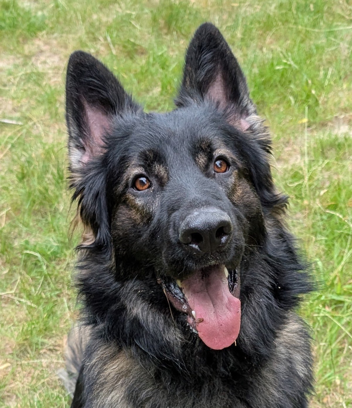 November Board Meeting