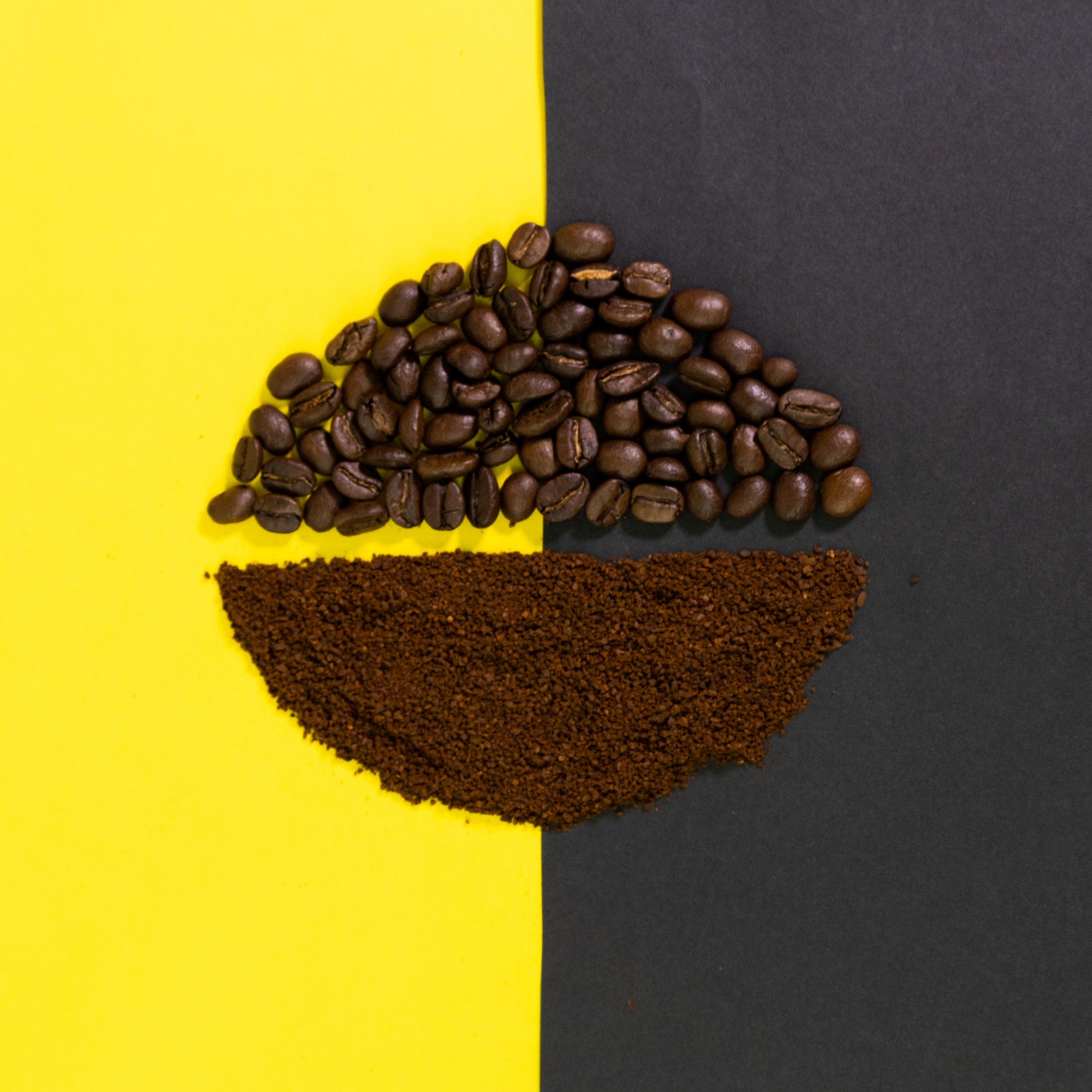 denver brand photography 14.jpg