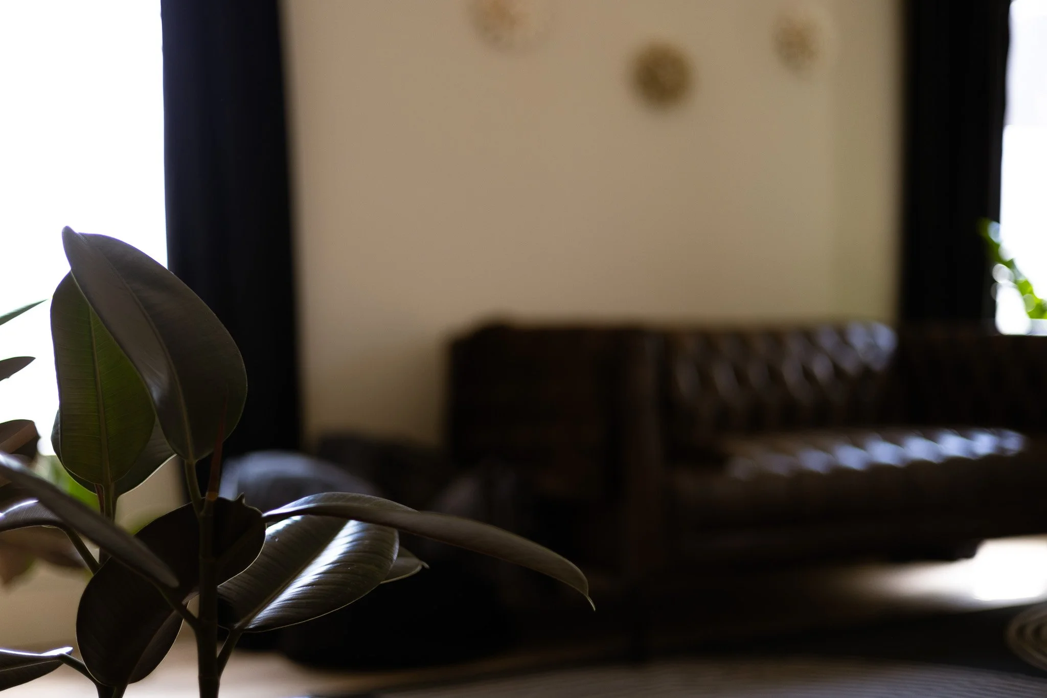 denver brand photography 161.jpg