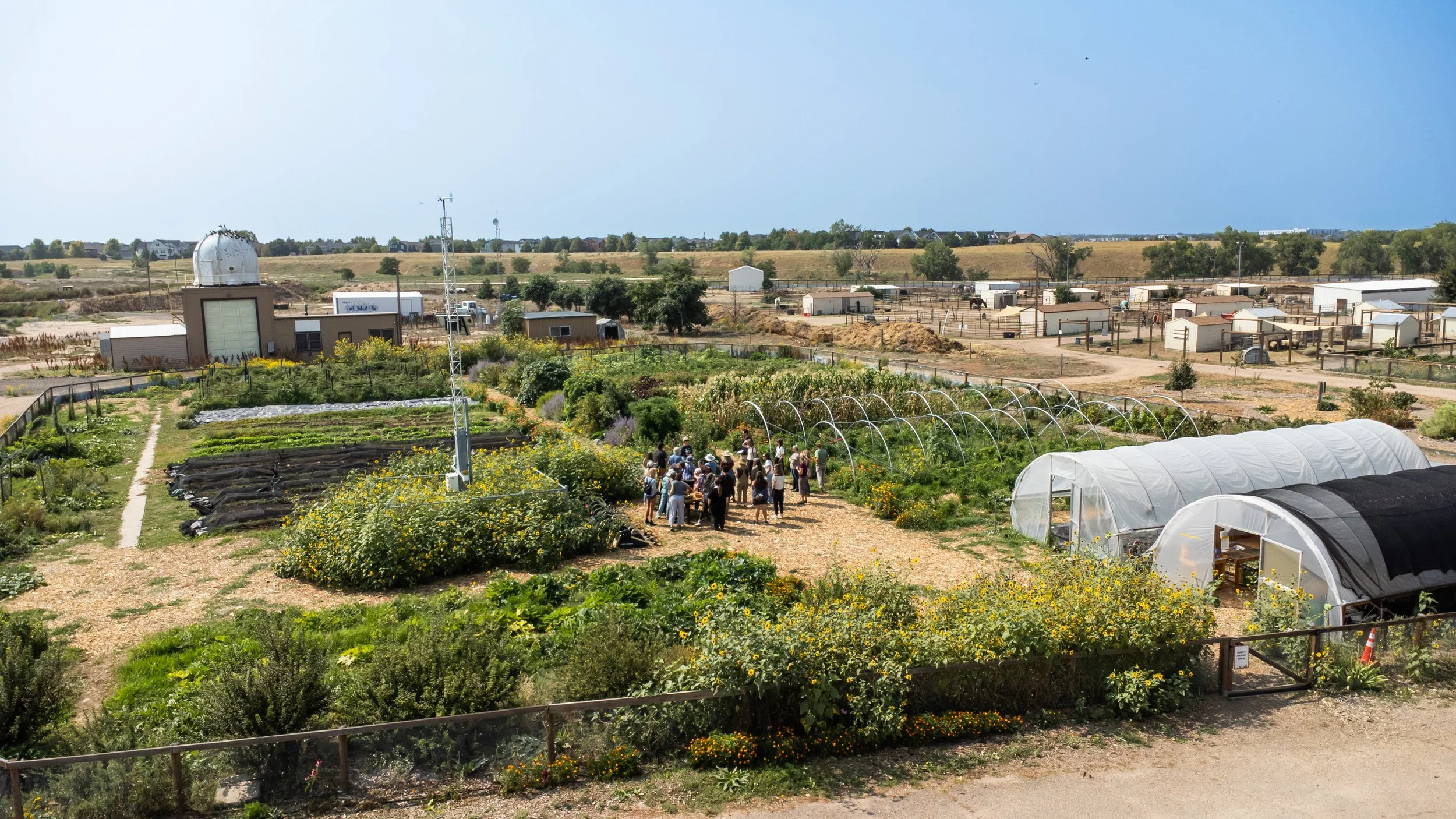 A community garden with various plants, greenhouses, and a group of people gathered in the center on a sunny day.