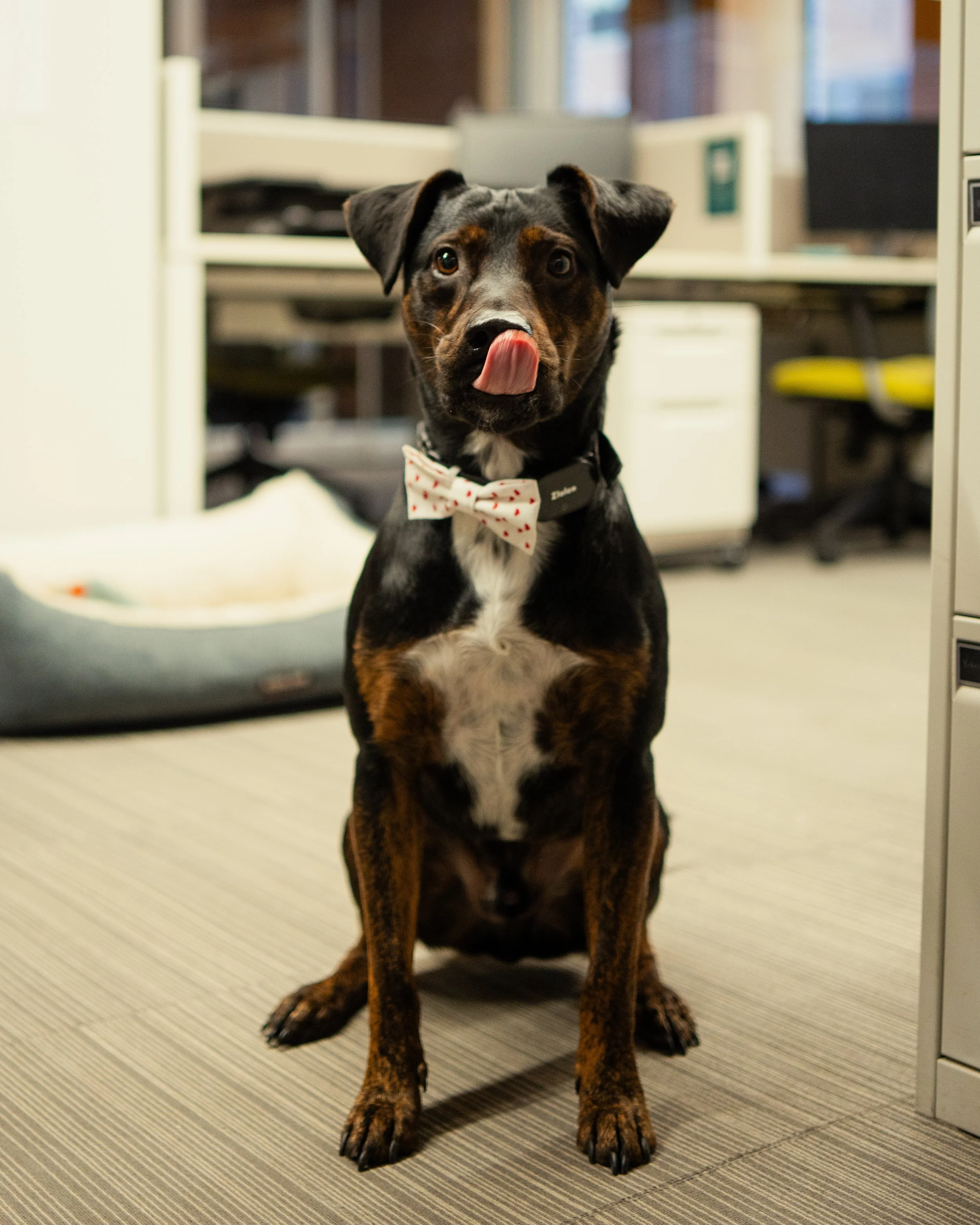 Denver headshots 13.jpg