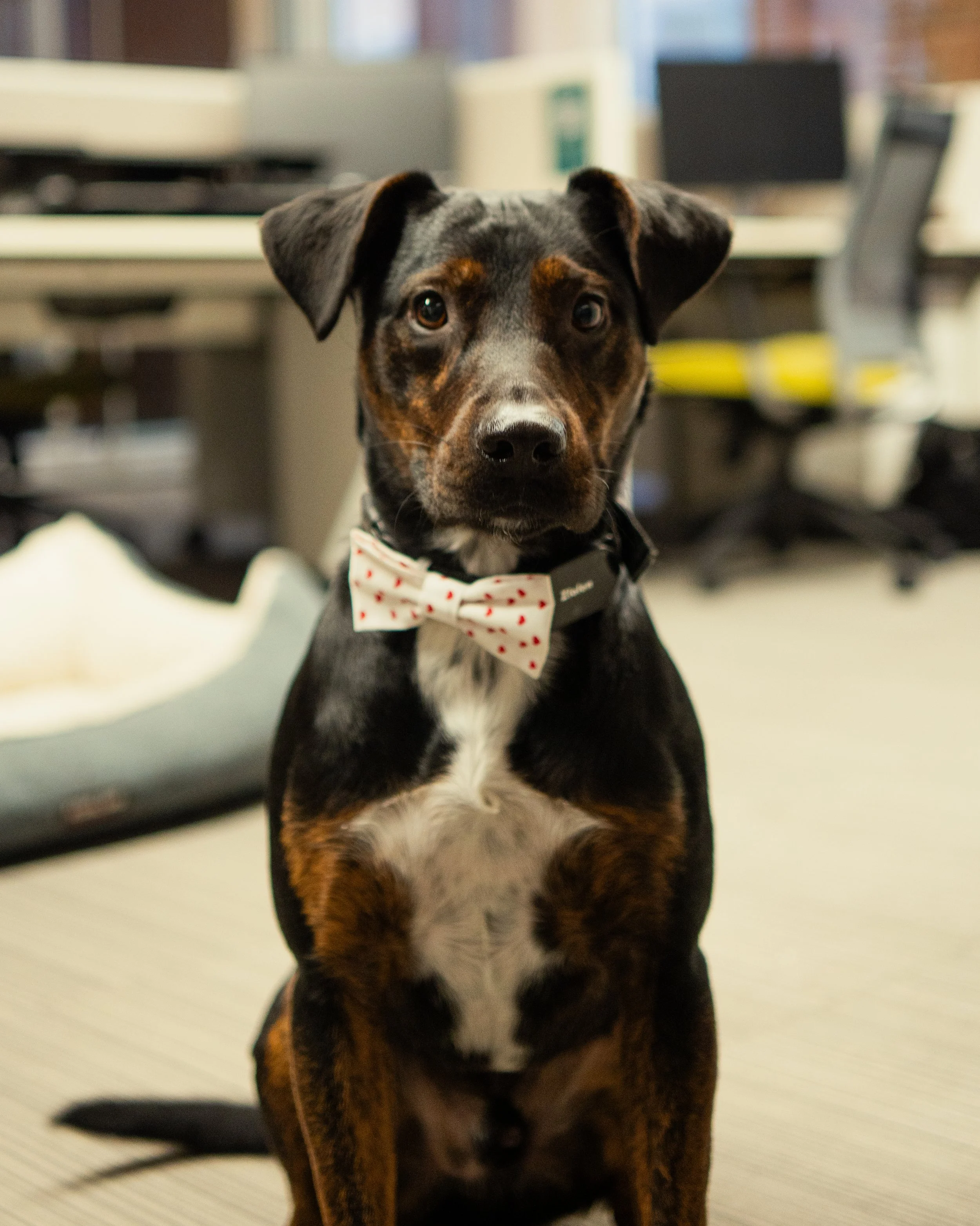 Denver headshots 14.jpg