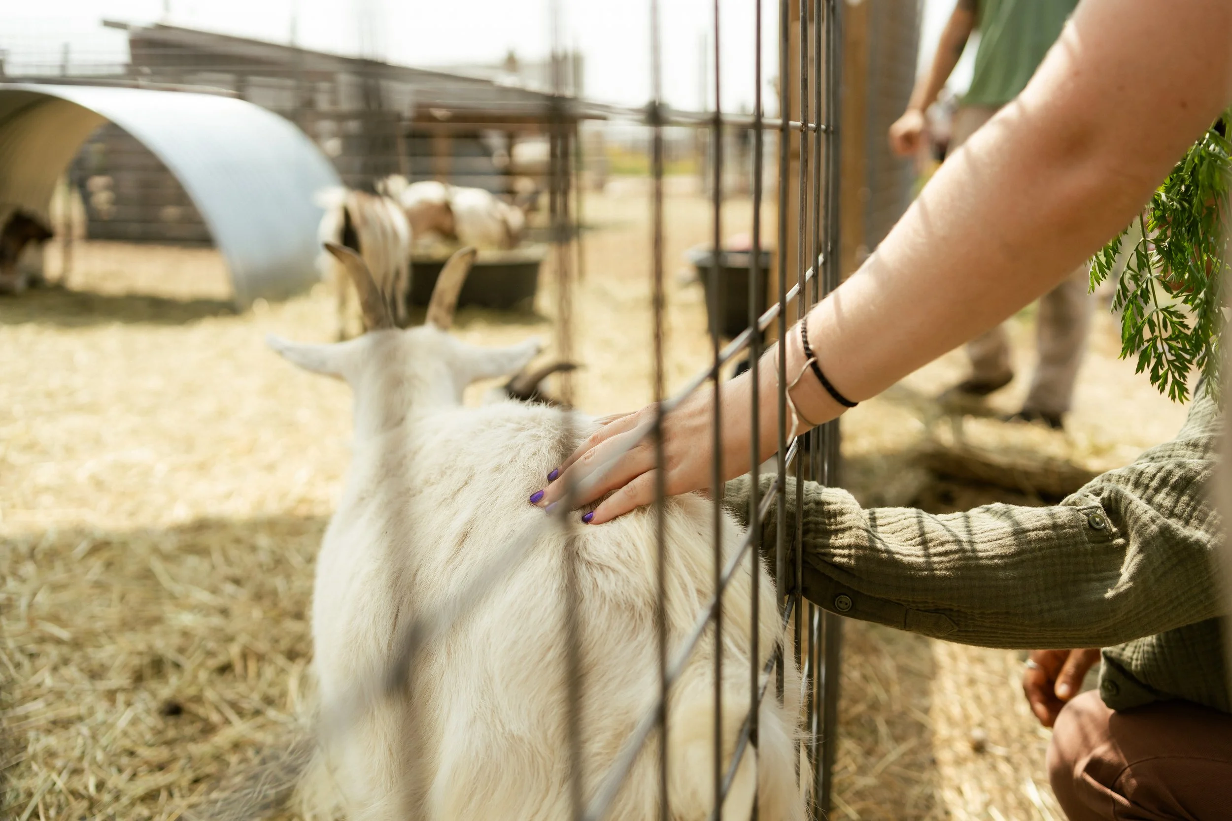 Denver Event Photography 39.jpg