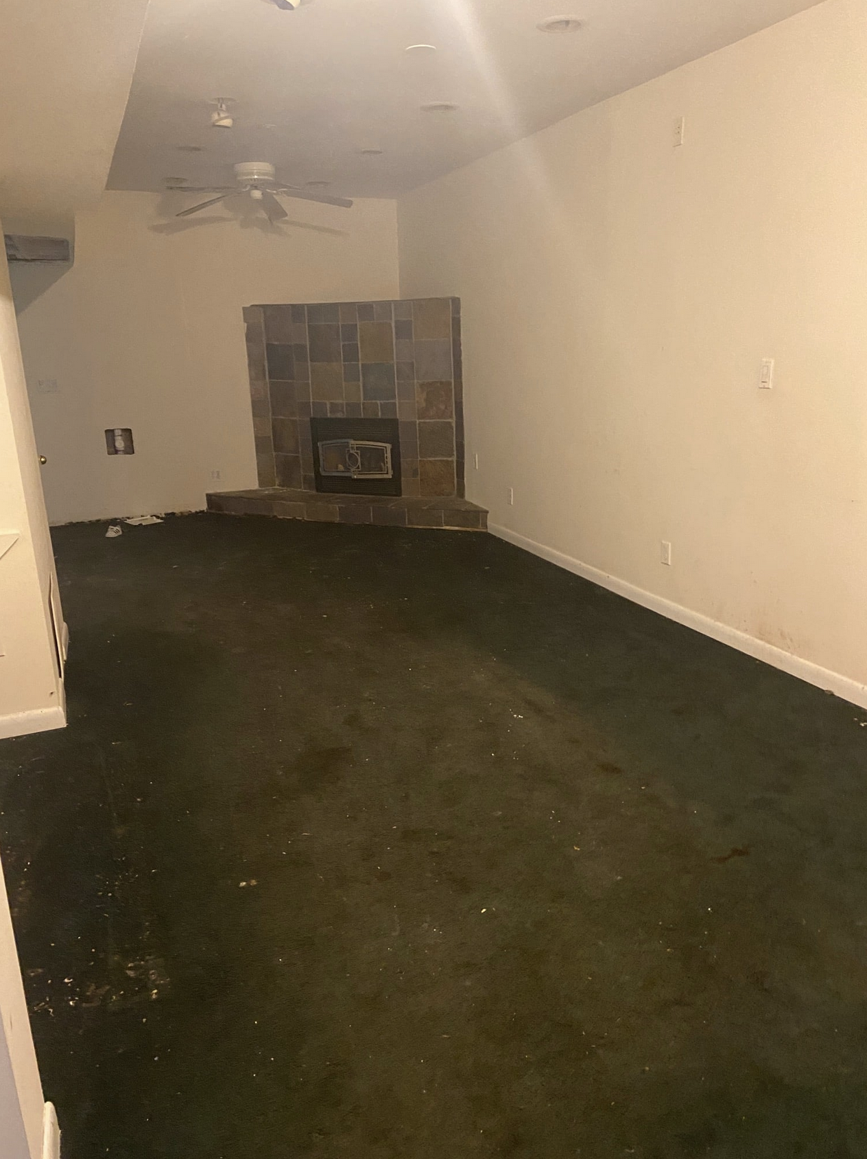 Screen Shot 2022-01-12 at 12.08.06 AM.png