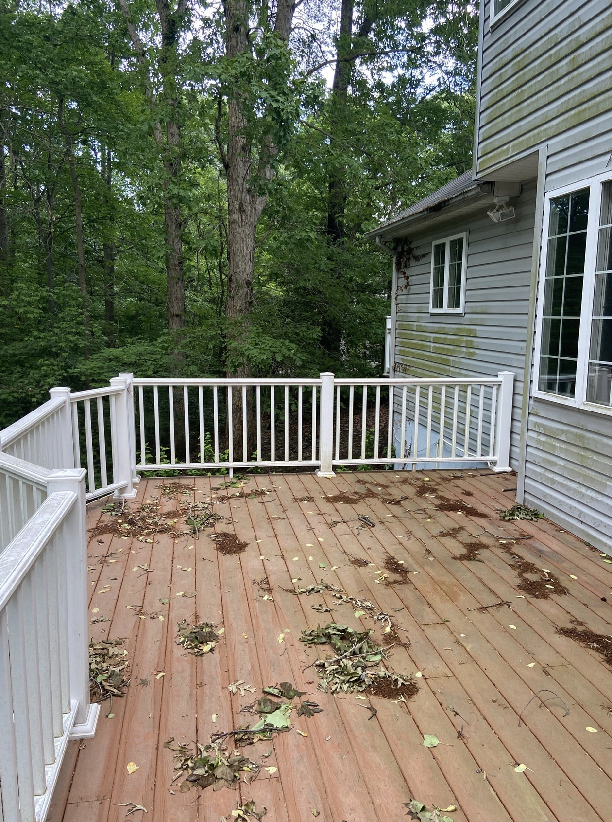 Screen Shot 2022-01-12 at 12.07.18 AM.png