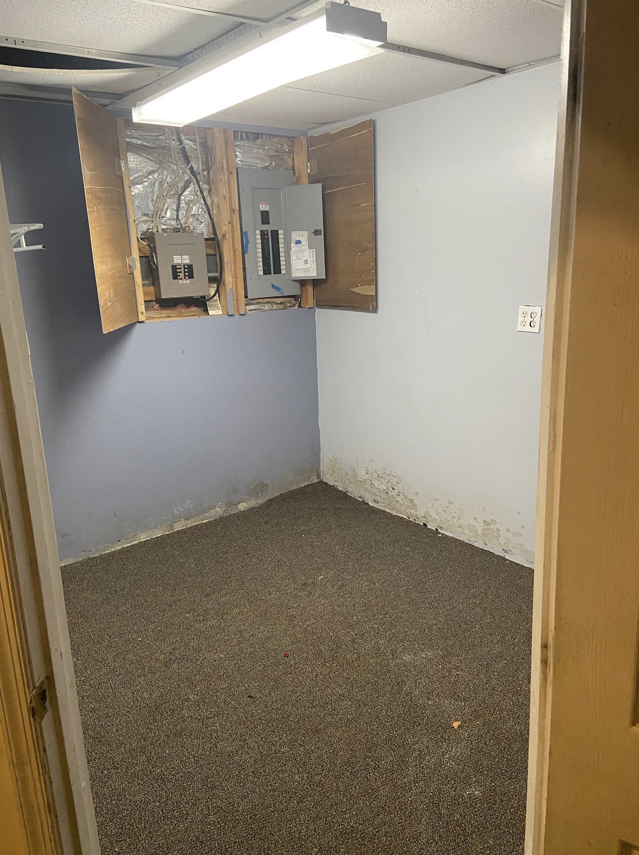 Screen Shot 2022-01-12 at 12.07.46 AM.png