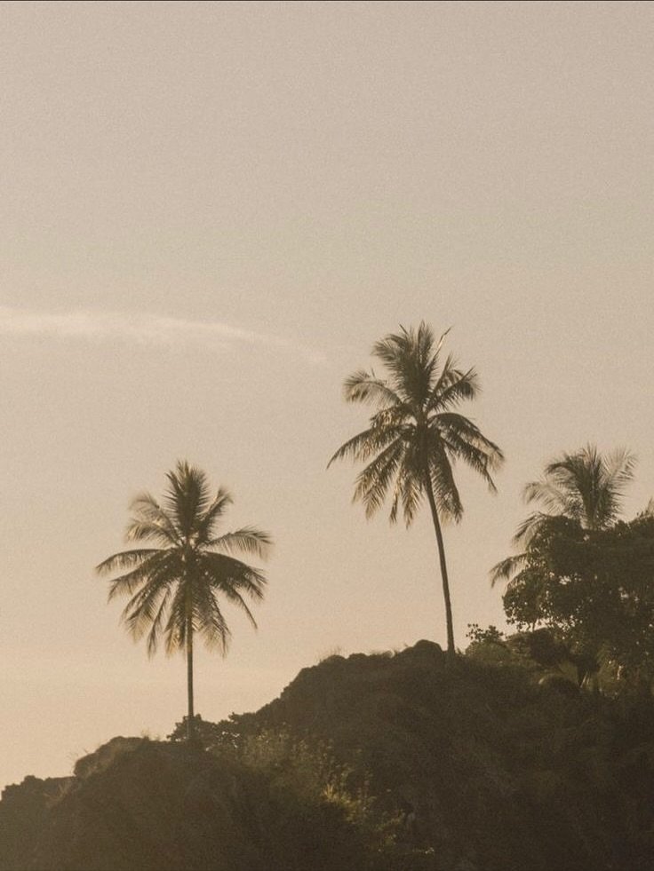 &hellip;.What if a day looked like this:

sunrise over palms
quiet steps to the shala
tea, not emails
moving your body with breath
Nourishing breakfast in community
writing down what your heart&rsquo;s been trying to say
salt on your skin, stories ar