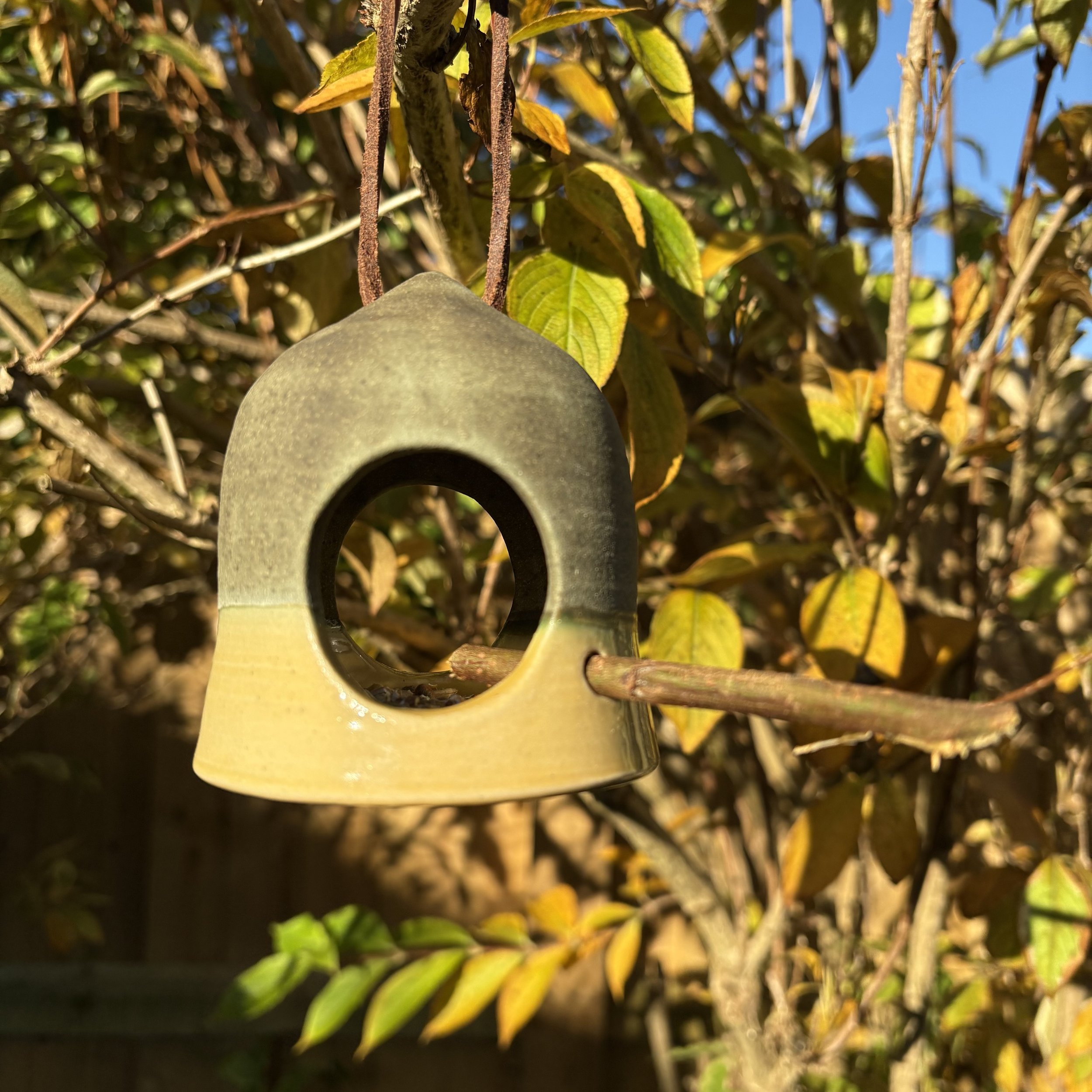 hiro birdfeeder in the garden.jpg