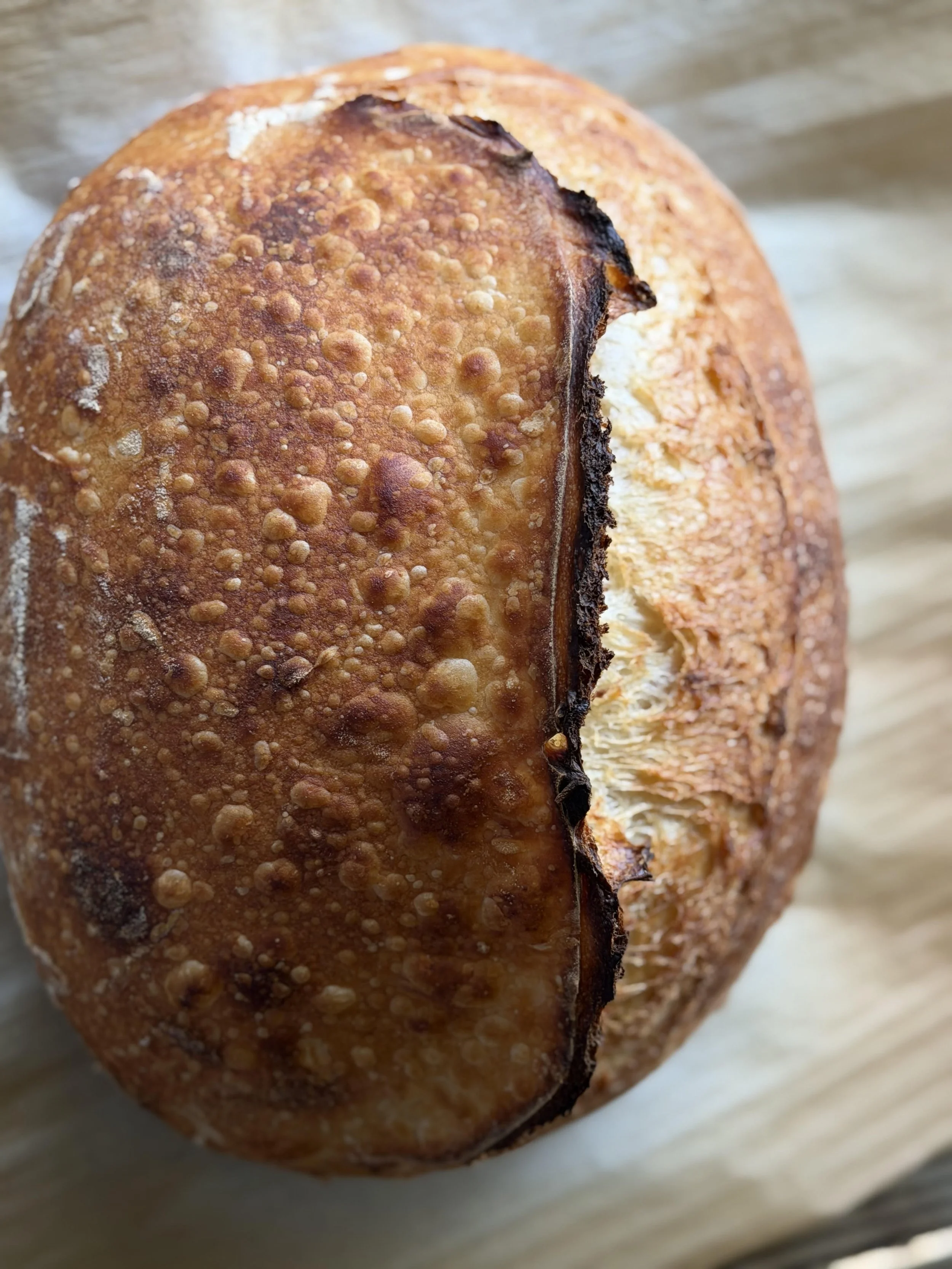 OG Sourdough Loaf