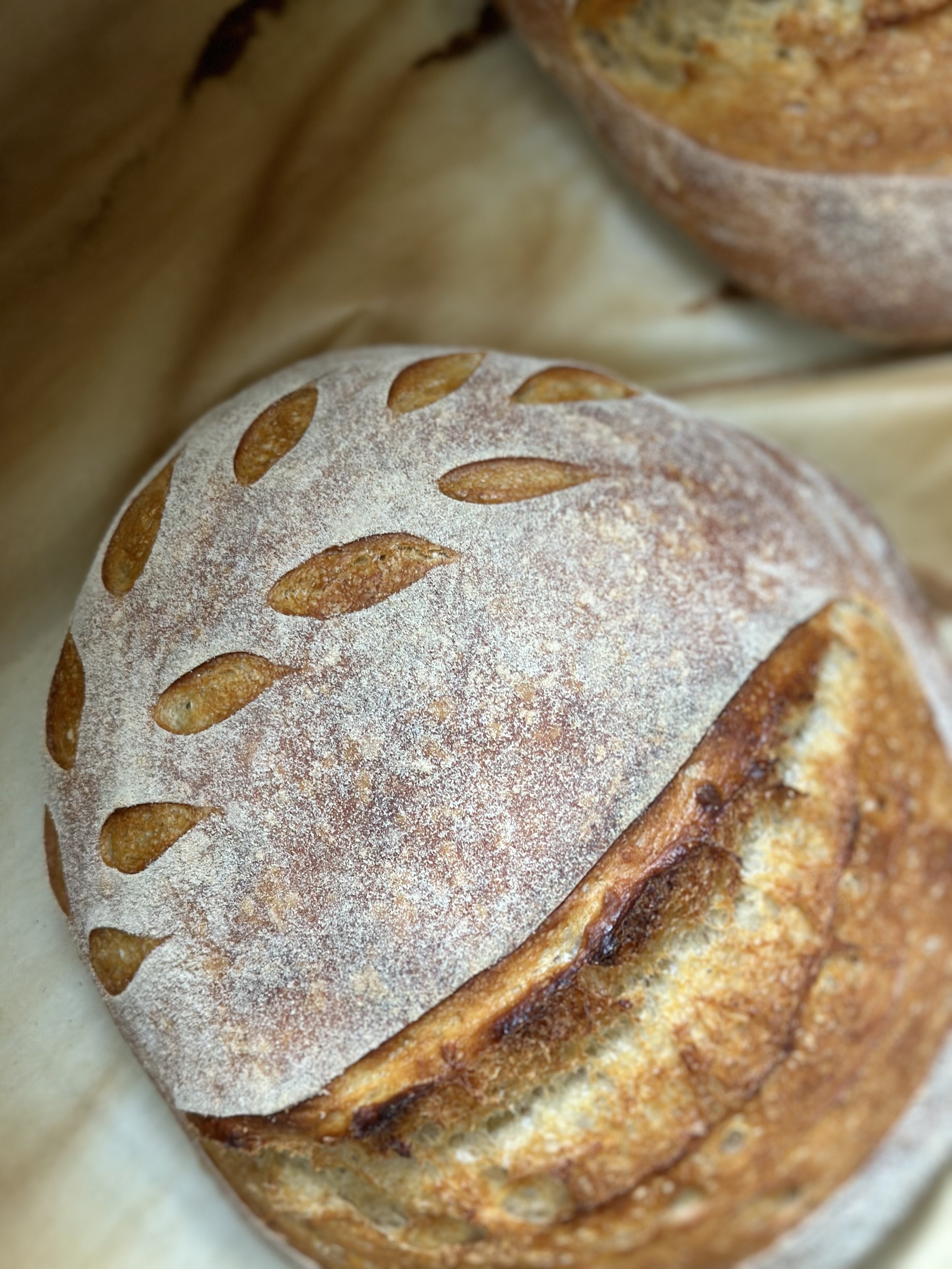 OG Sourdough Loaf
