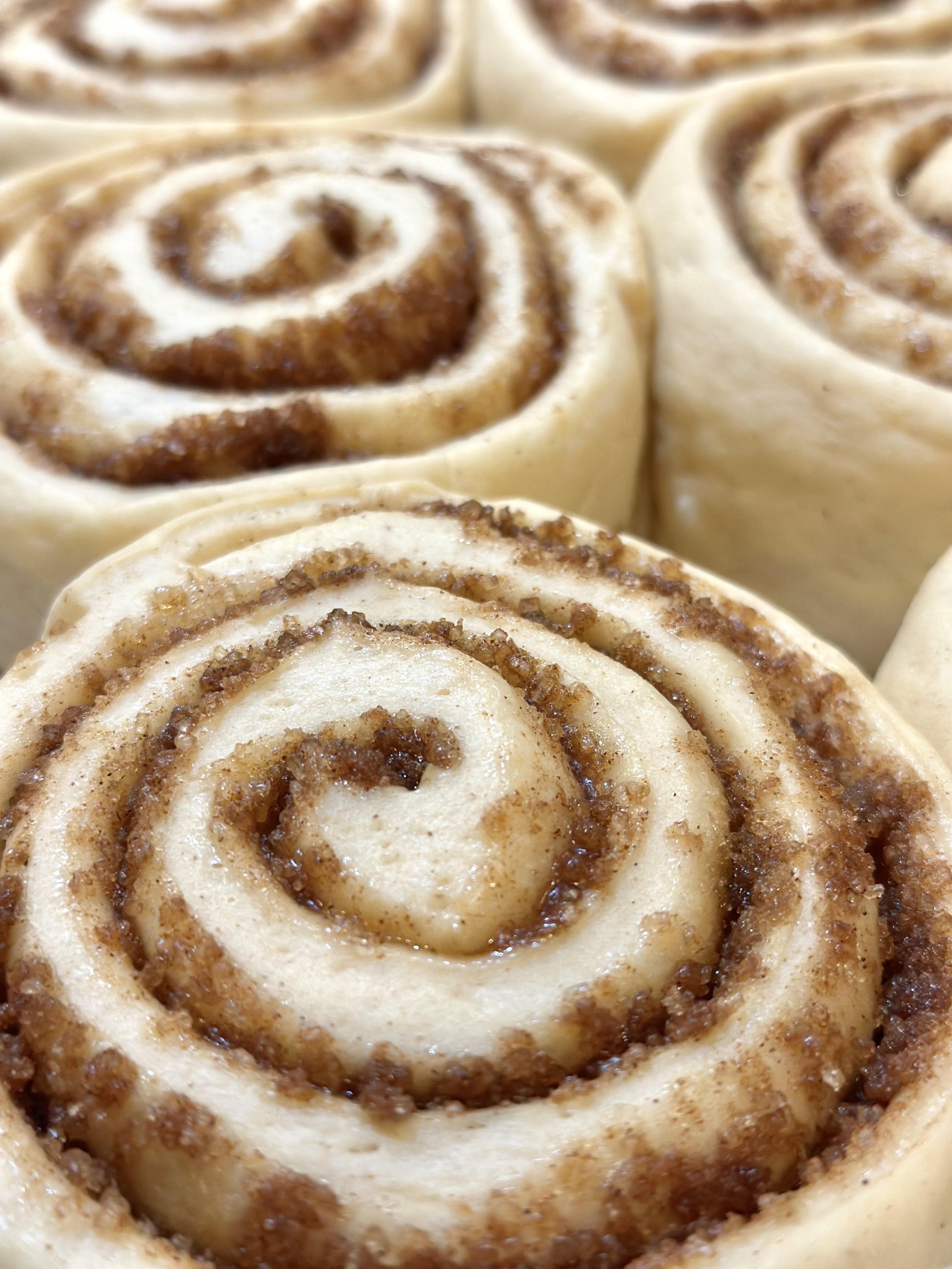 cinnamon roll2.jpg