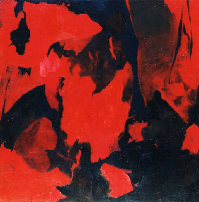 "El sentir de la amapola negra"