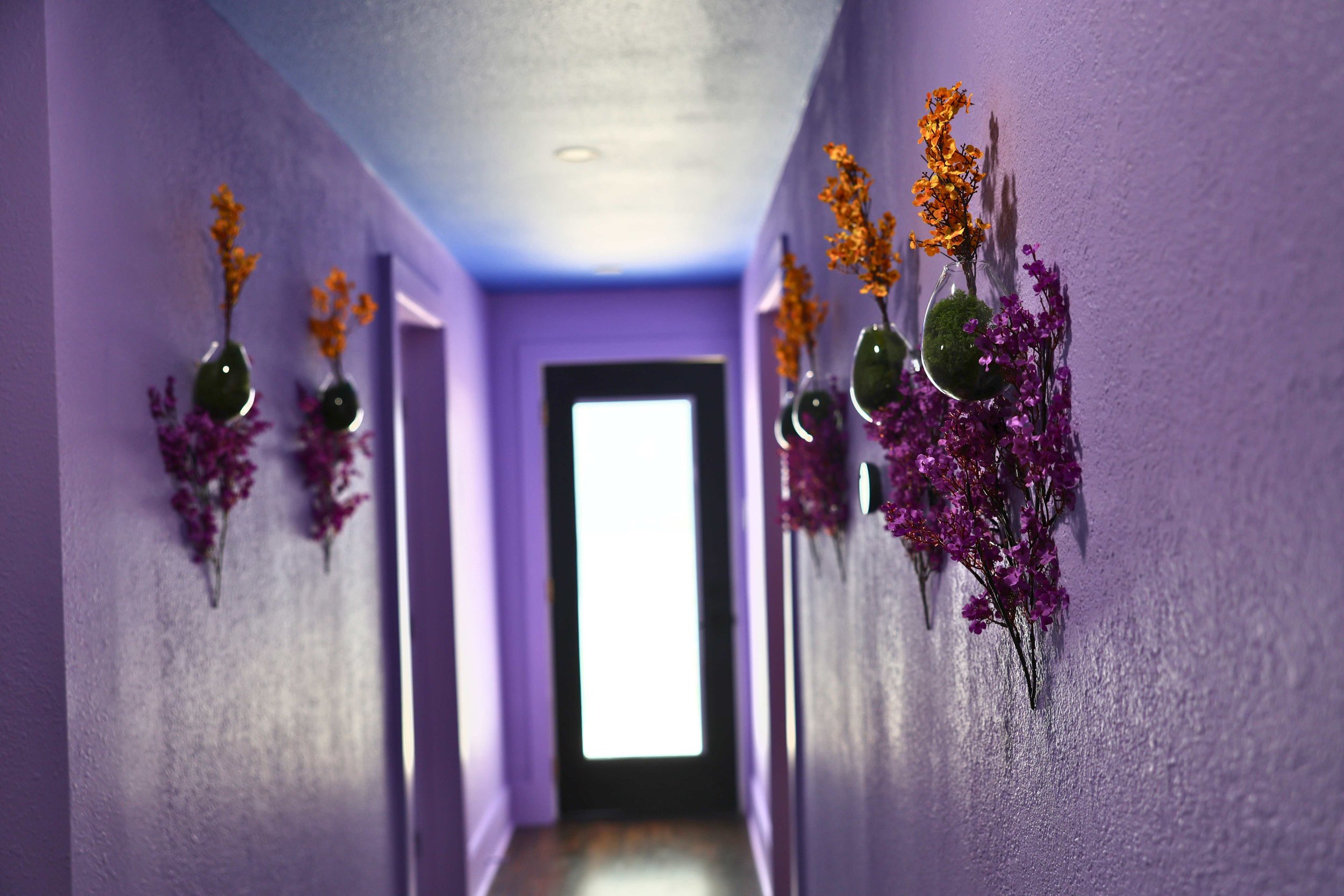 A purple hallway with wall-mounted vases holding orange and purple flowers.