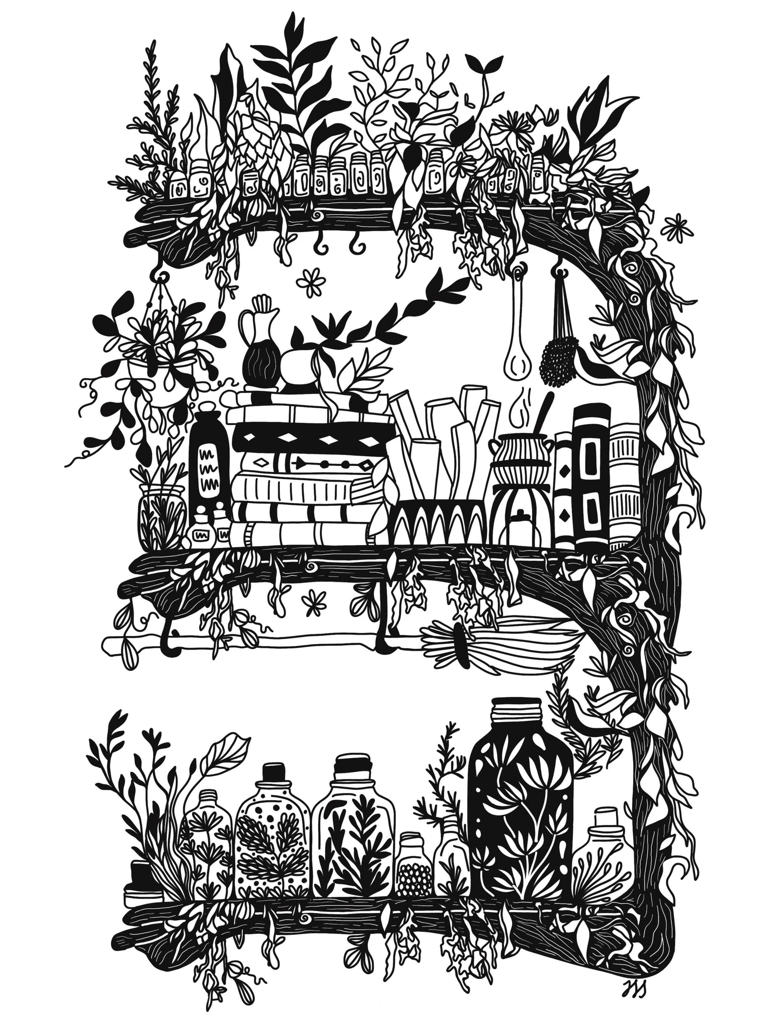 wiccan shelves 18x24.jpg