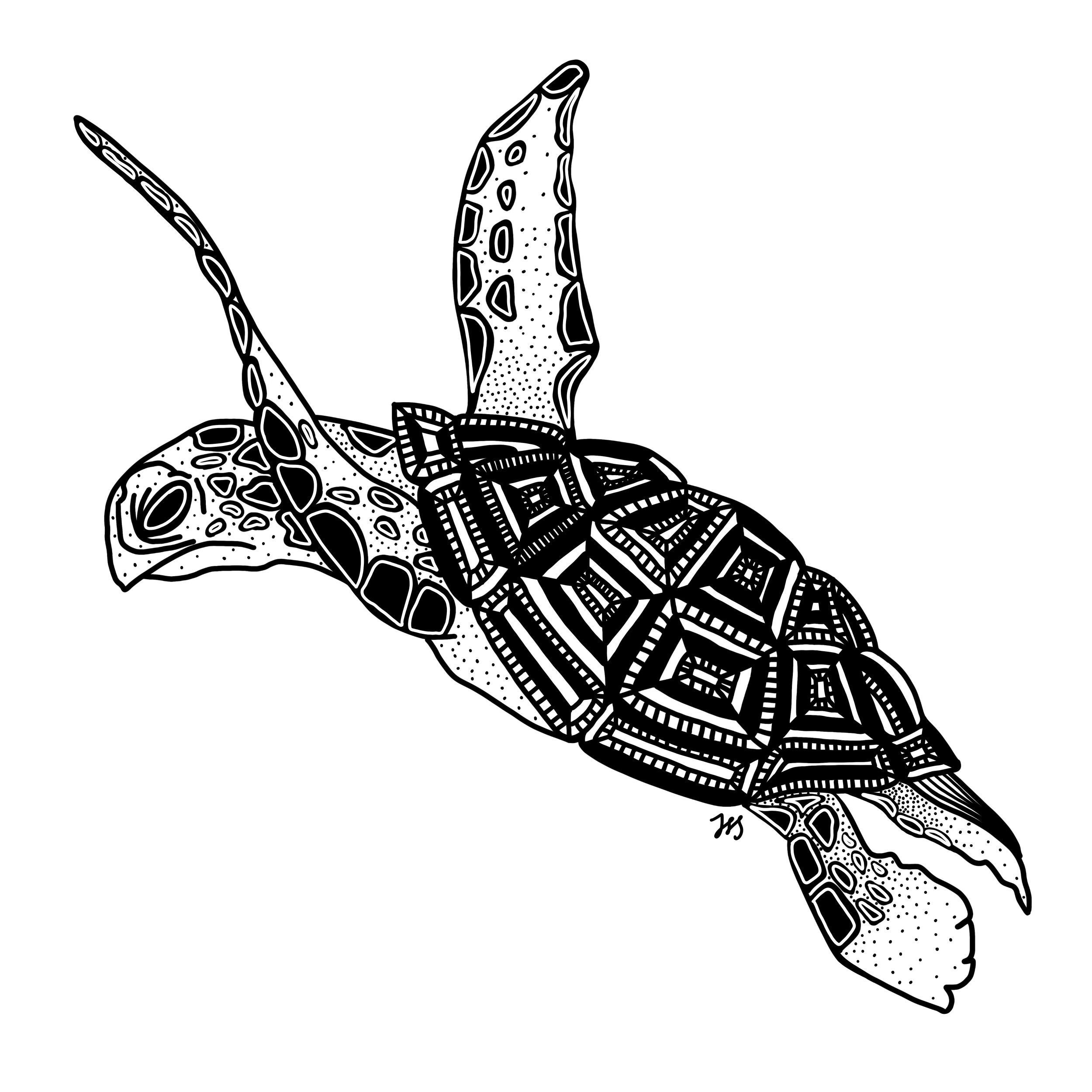 turtle 10x10.jpeg