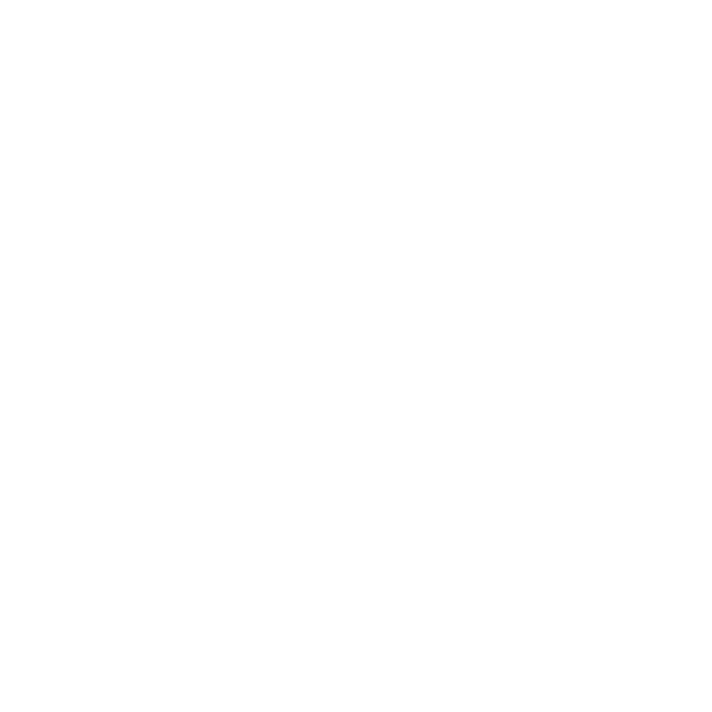 Online consulting icon