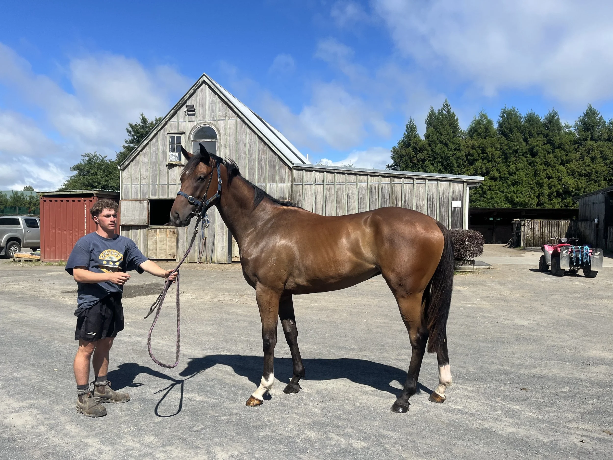 Bivouac x Shadow Watch