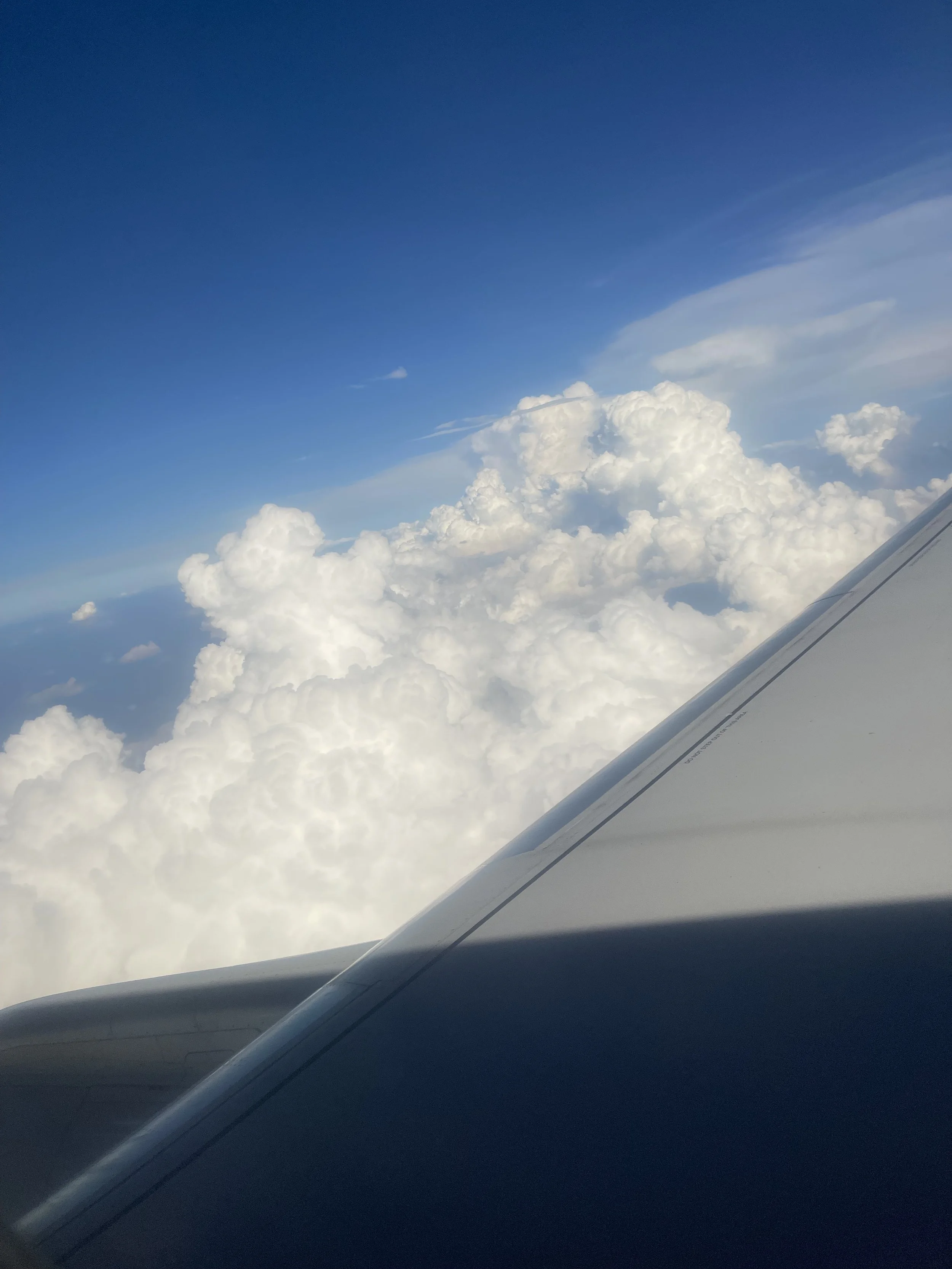 The Life I’m Building Feels Like Home