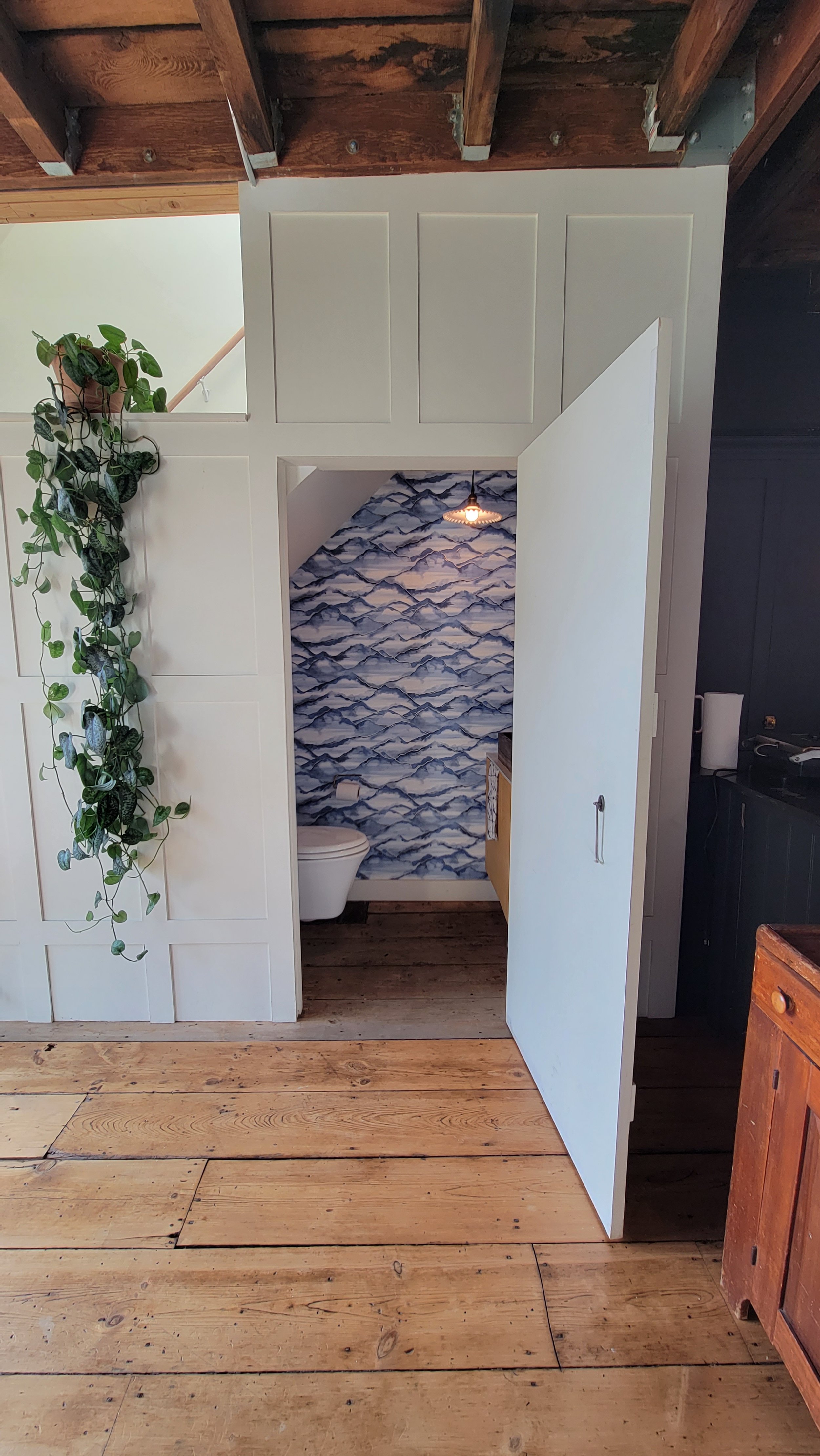 An open door reveals a small bathroom with mountain-themed wallpaper, a white toilet, and a yellow sink. The room has wooden flooring and a hanging light fixture. To the left is a white decorative wall with a hanging plant.