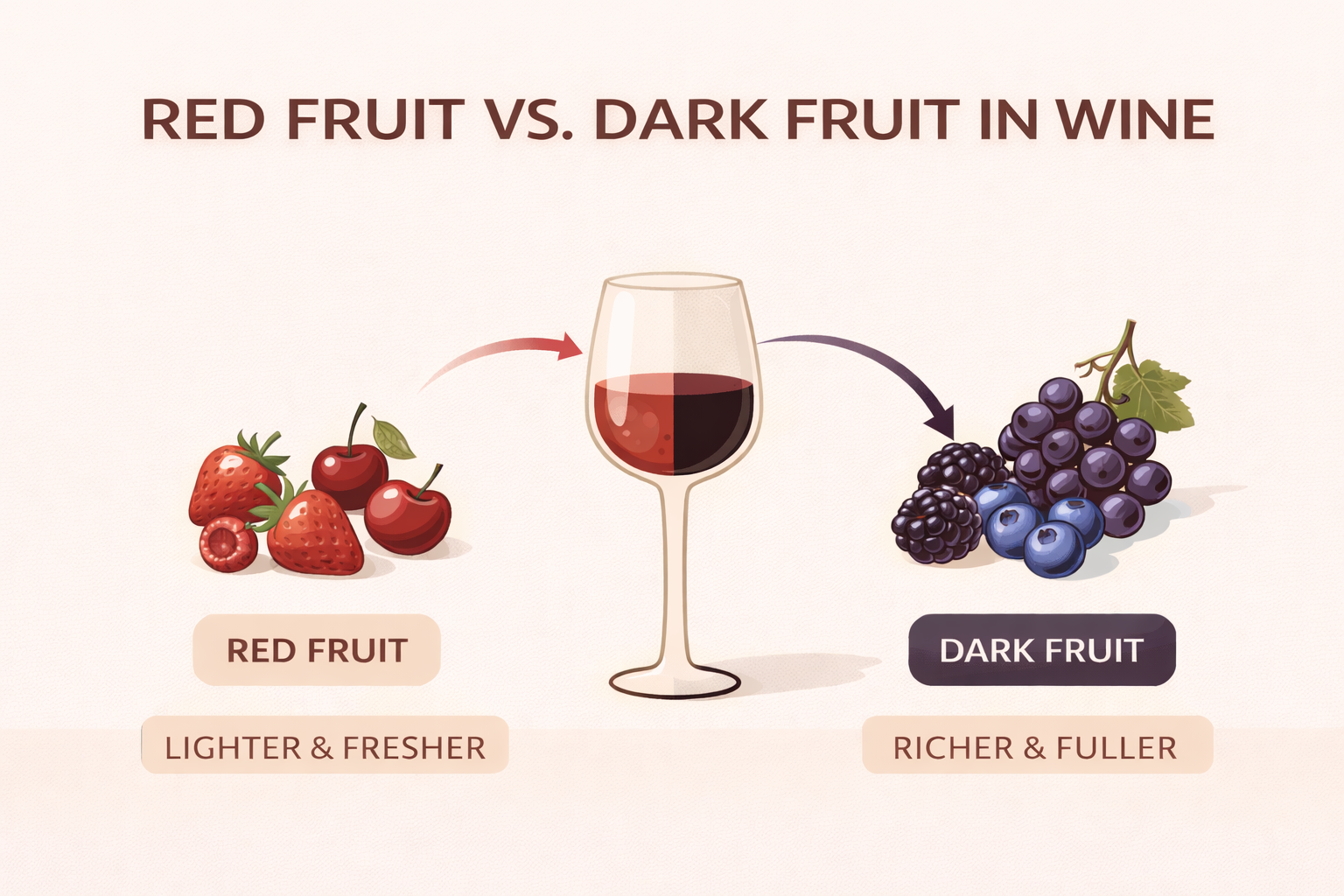 Red Fruit vs. Dark Fruit in Wine