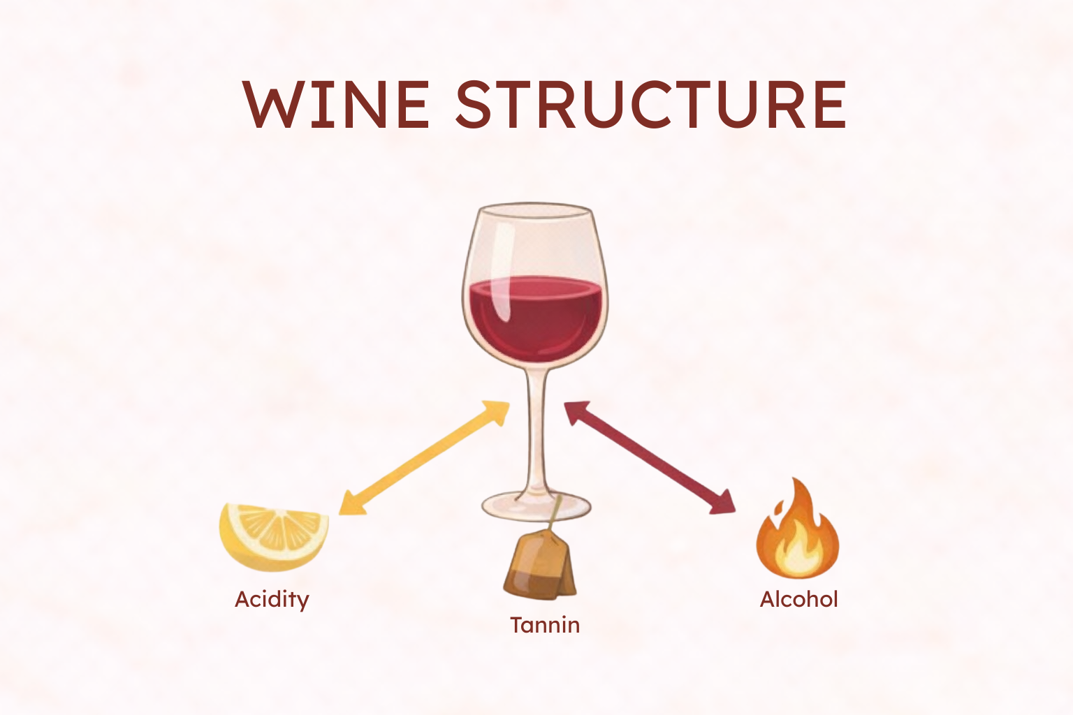 Acidity vs Tannin vs Alcohol: How Wine Structure Really Works