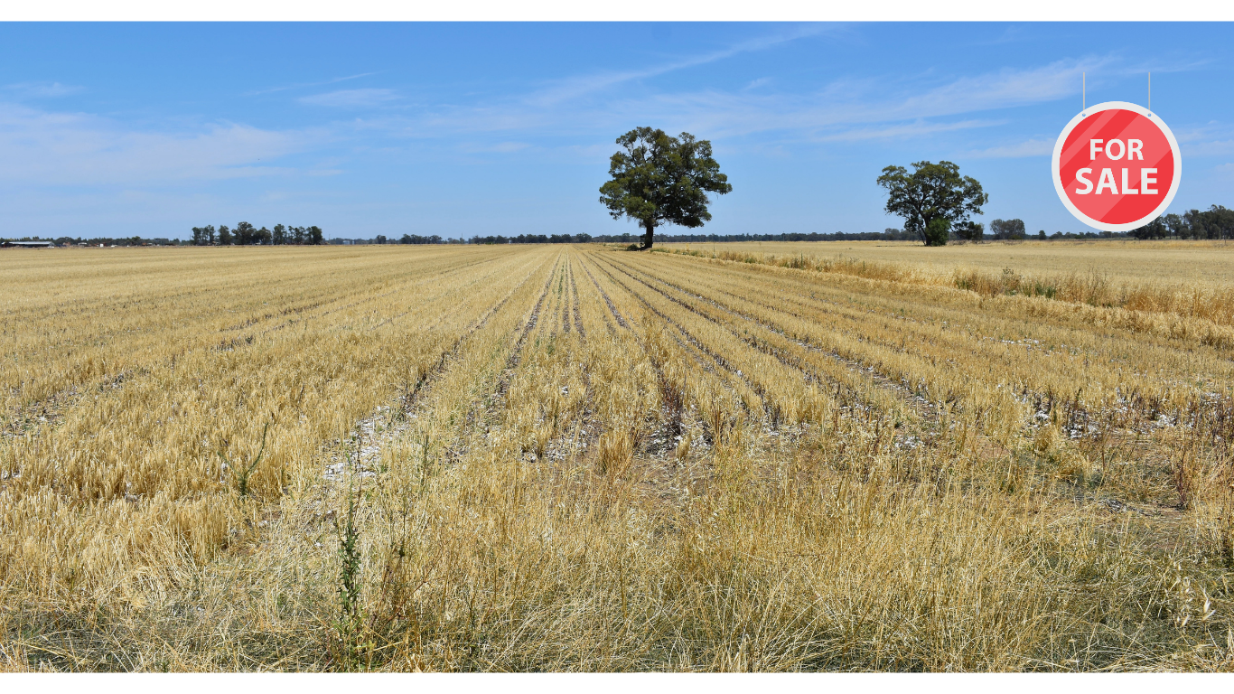 732 Main Canal Rd, Coleambally - Image 1