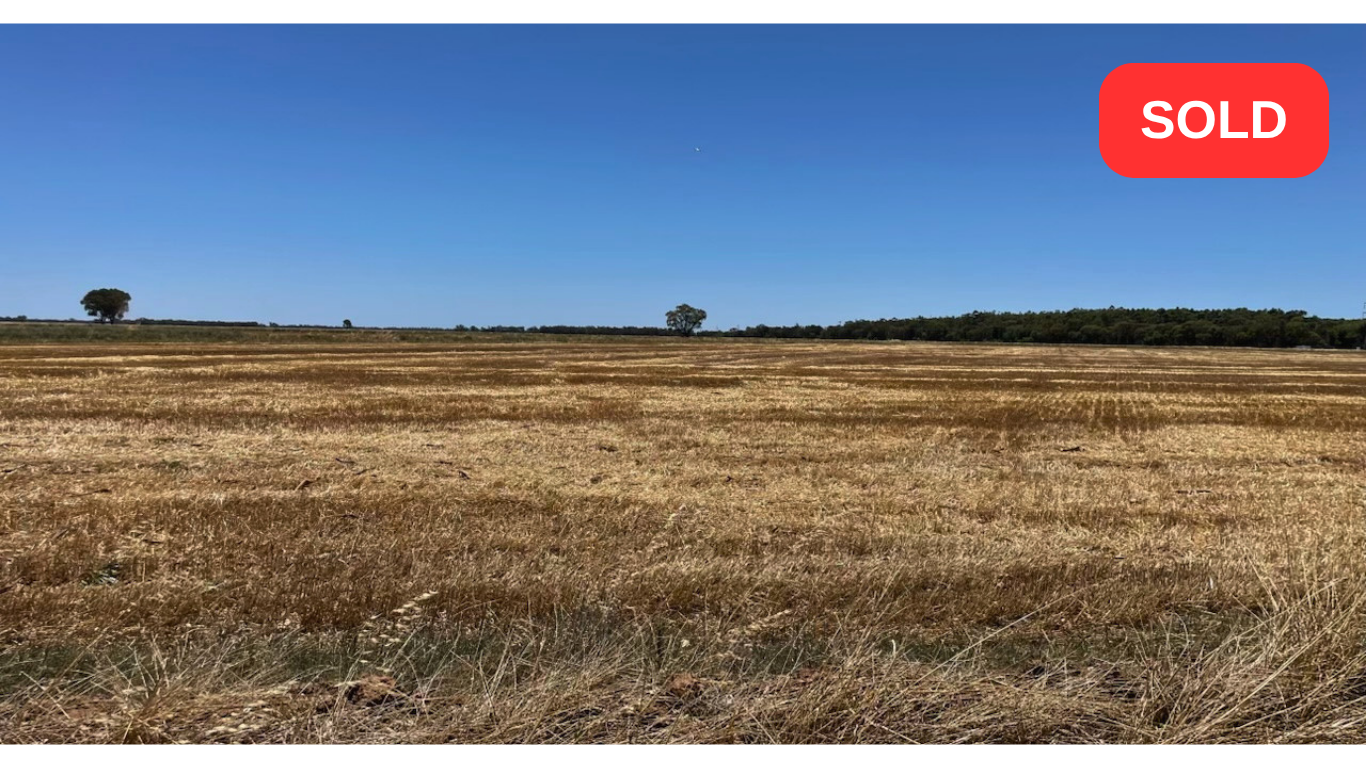 SOLD.png