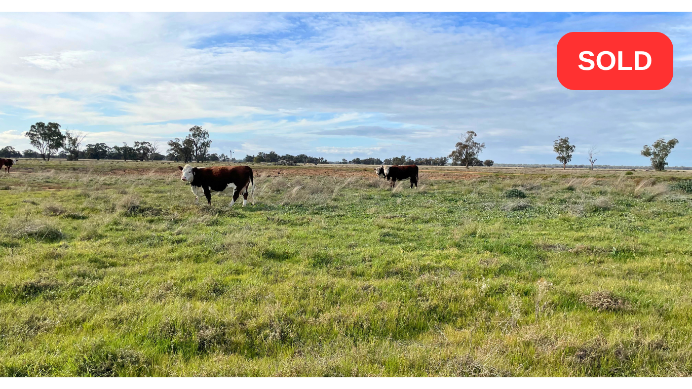 LOT 176 KIDMAN WAY SOLD.png