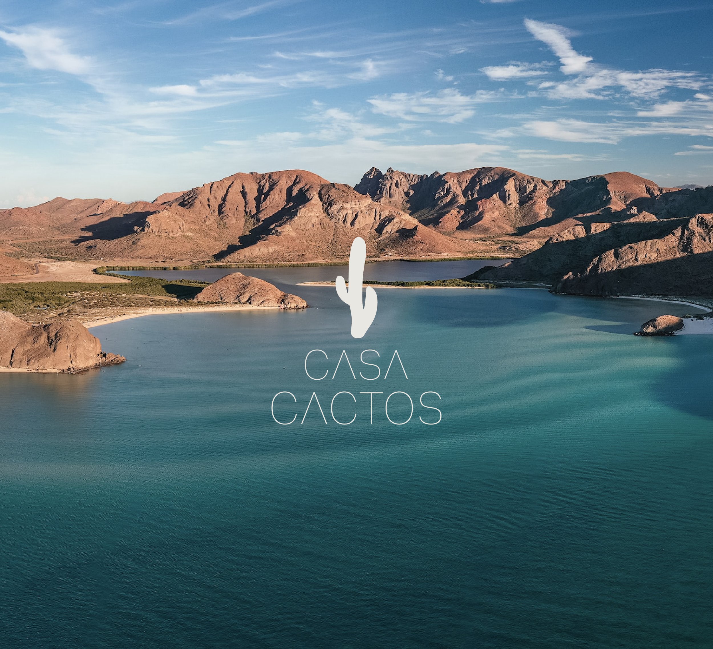 Cactos03.jpg