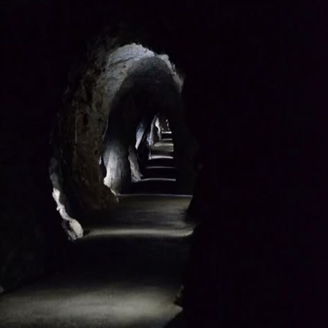 a8.jpg