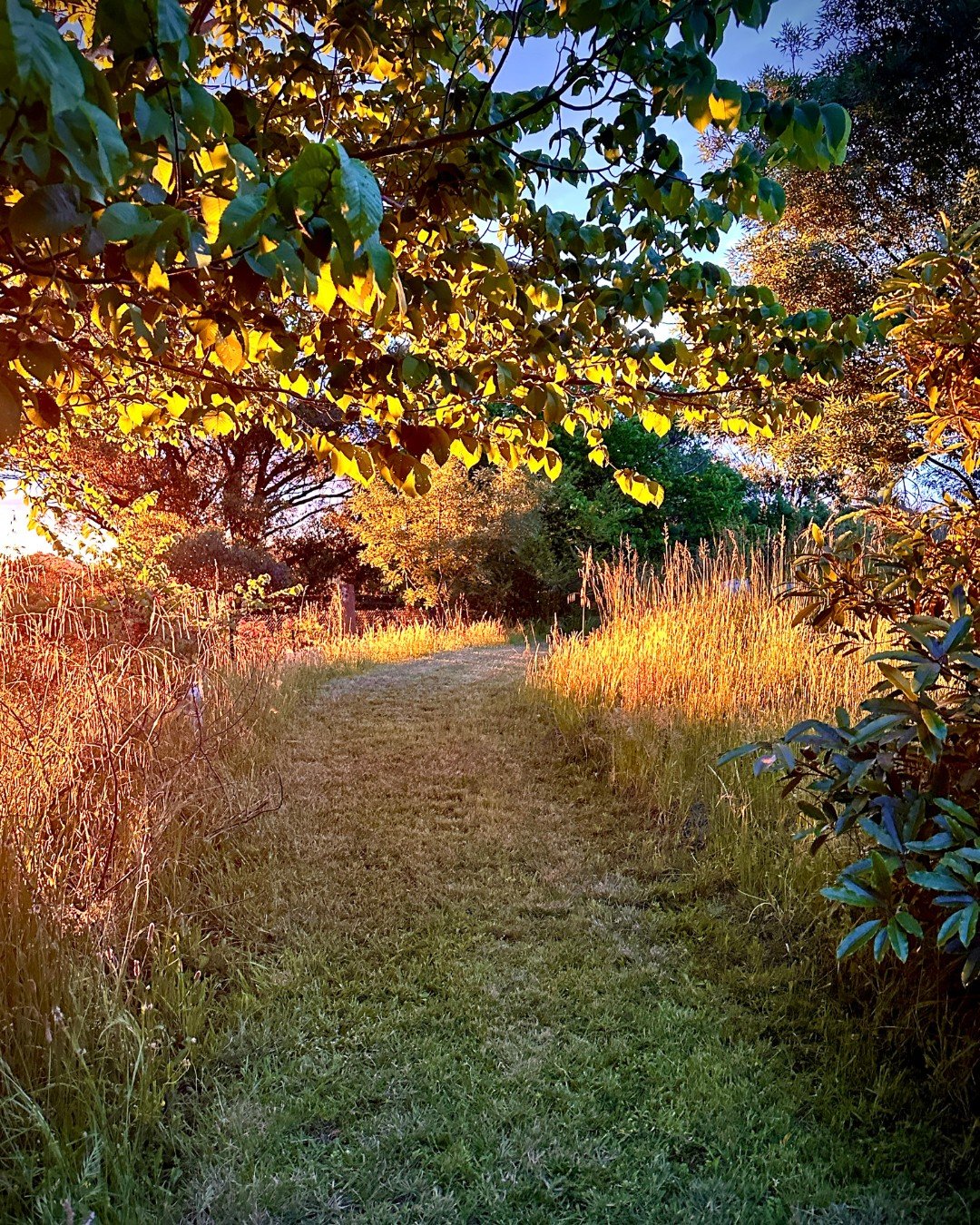 I might be slightly revealing my age by referring to the saying, &lsquo;It&rsquo;s Gold&rsquo;, but hey, so much is! 

We&rsquo;re going to show you how to sprinkle some gold, by focusing on some simple, effective strategies.

I&rsquo;ve picked up a 