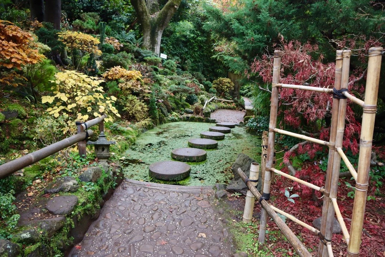 Macedon Ranges garden