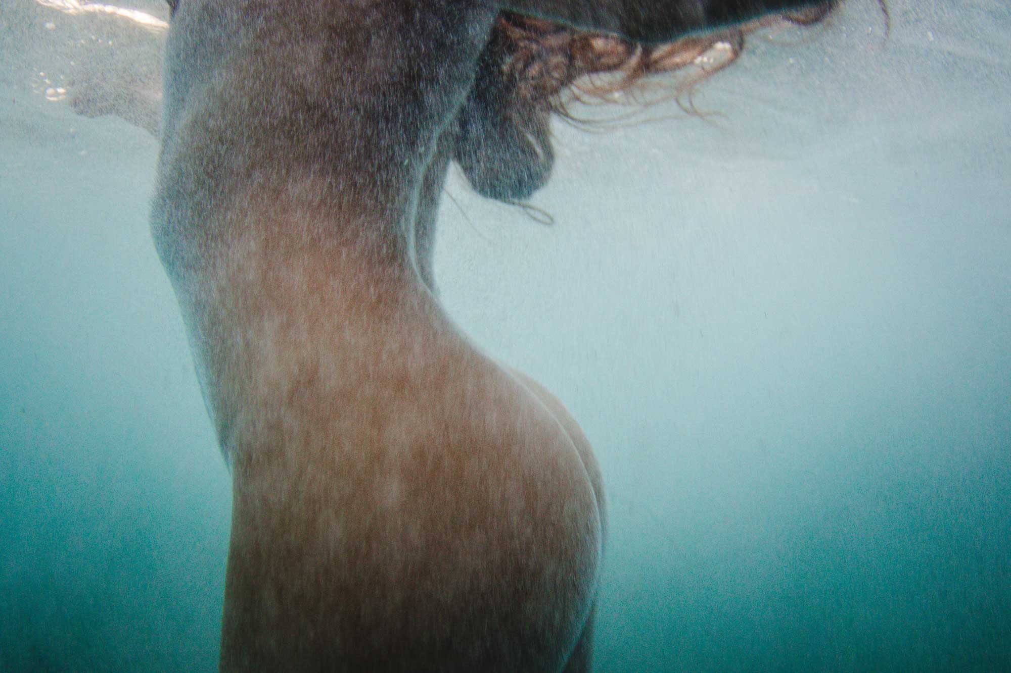 Contours-SML.jpg