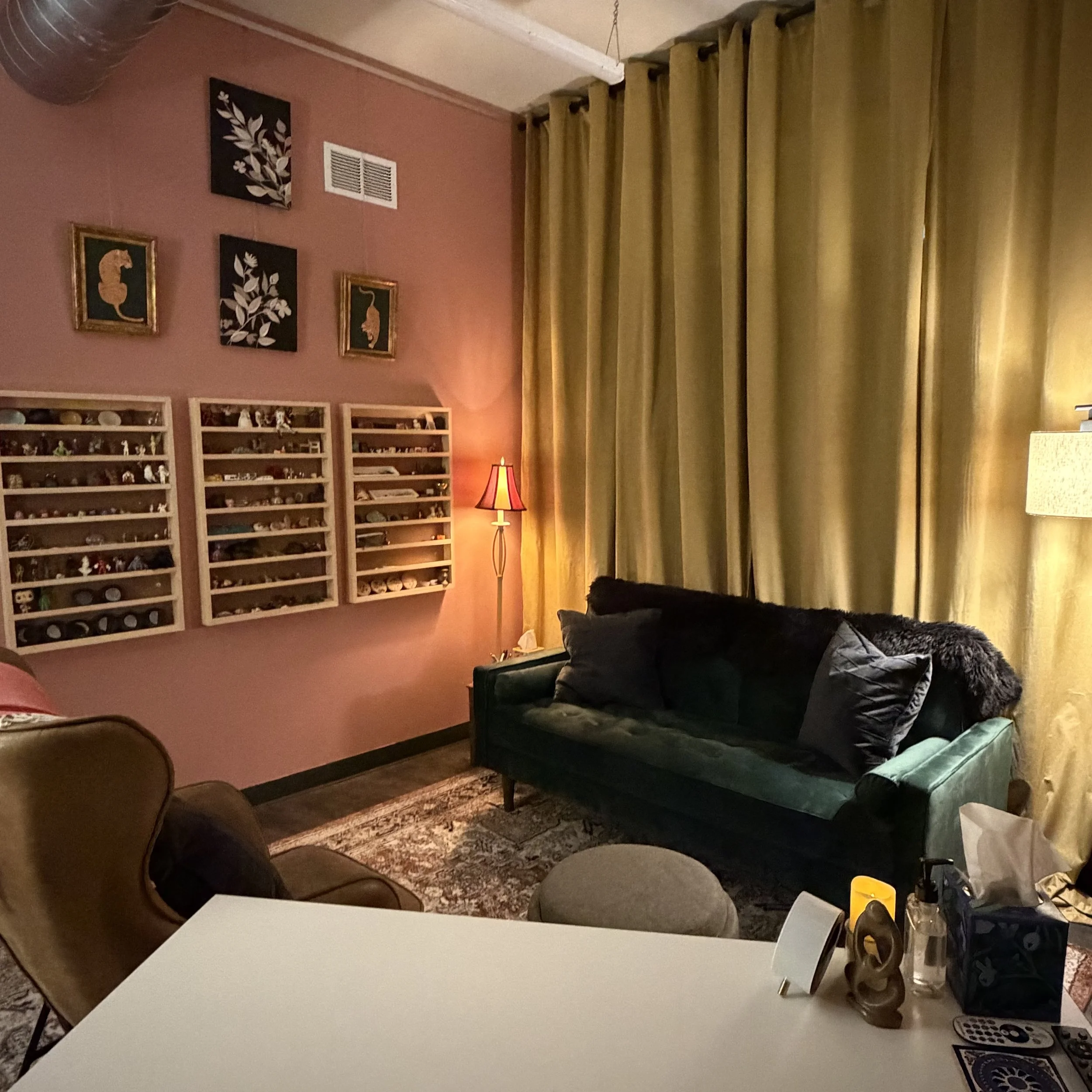 royal room couch and shelves.JPG