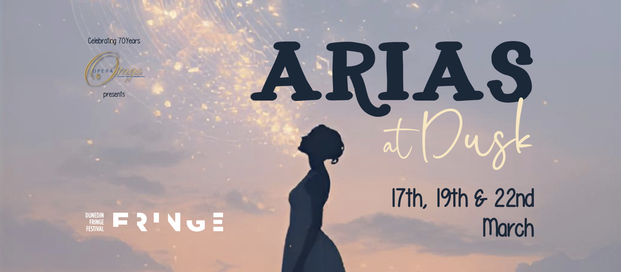 Shadowed feminine figure in dim sunset light gazing at stars